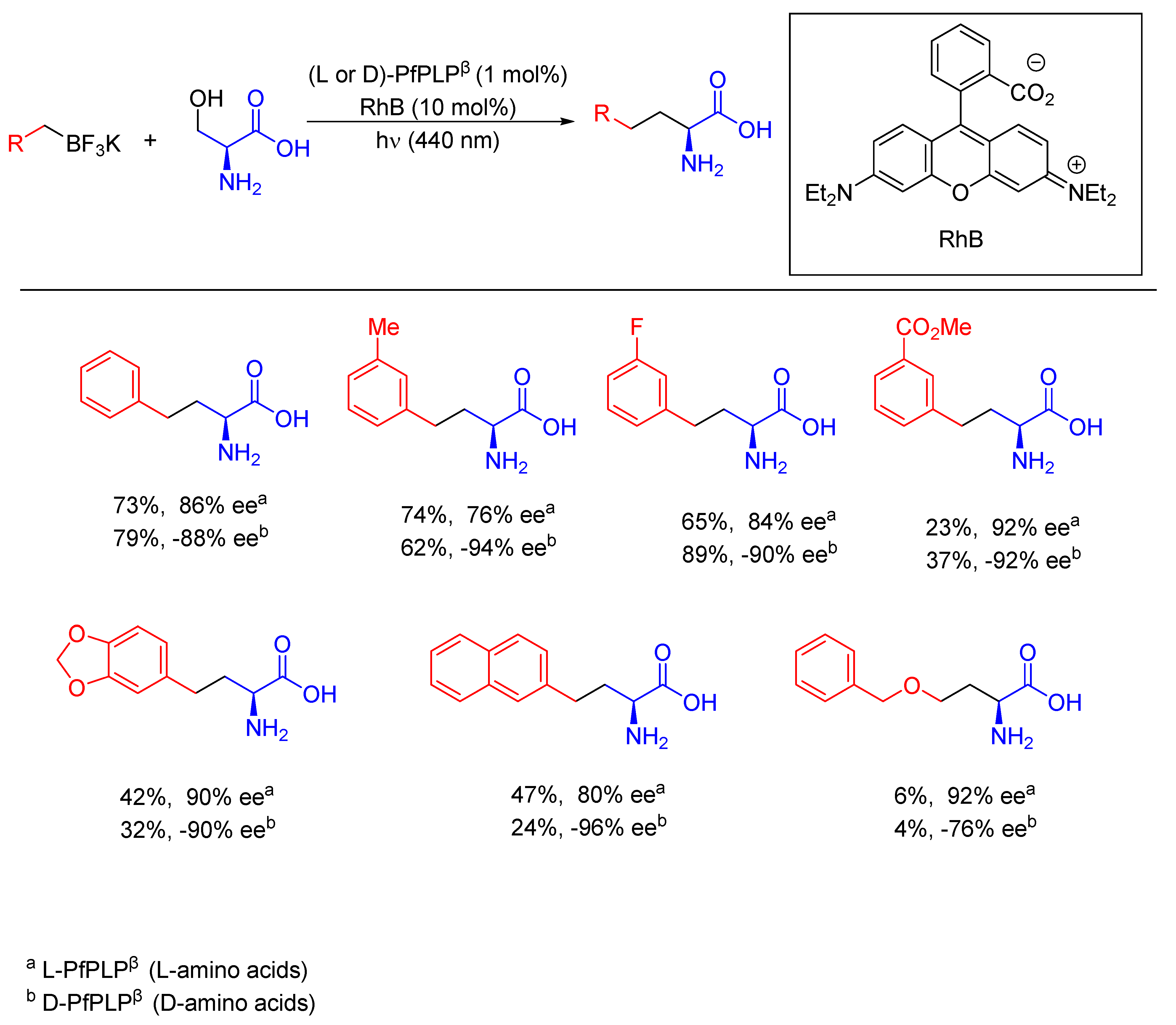 Molecules 28 06252 sch135
