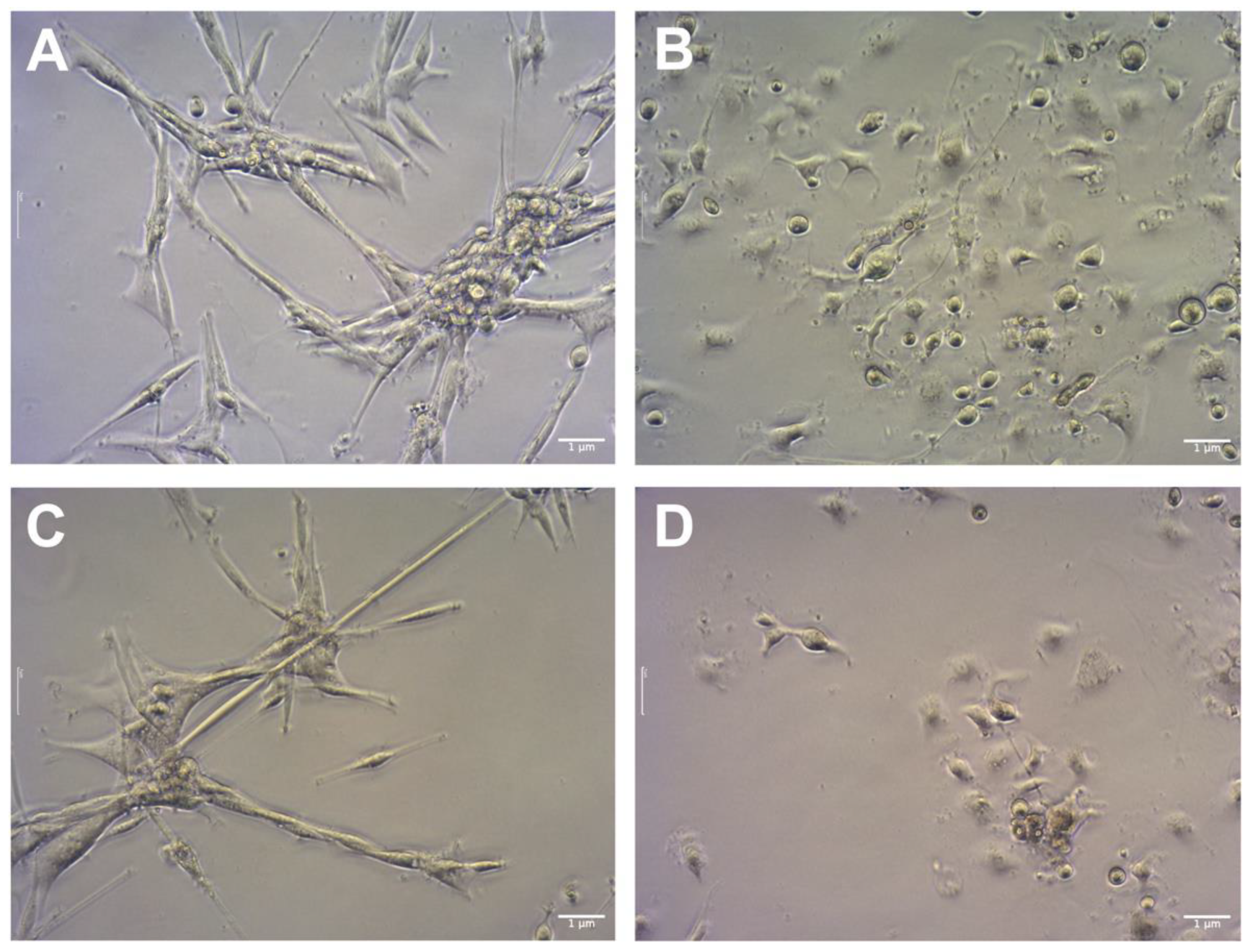 Molecules 28 06253 g004