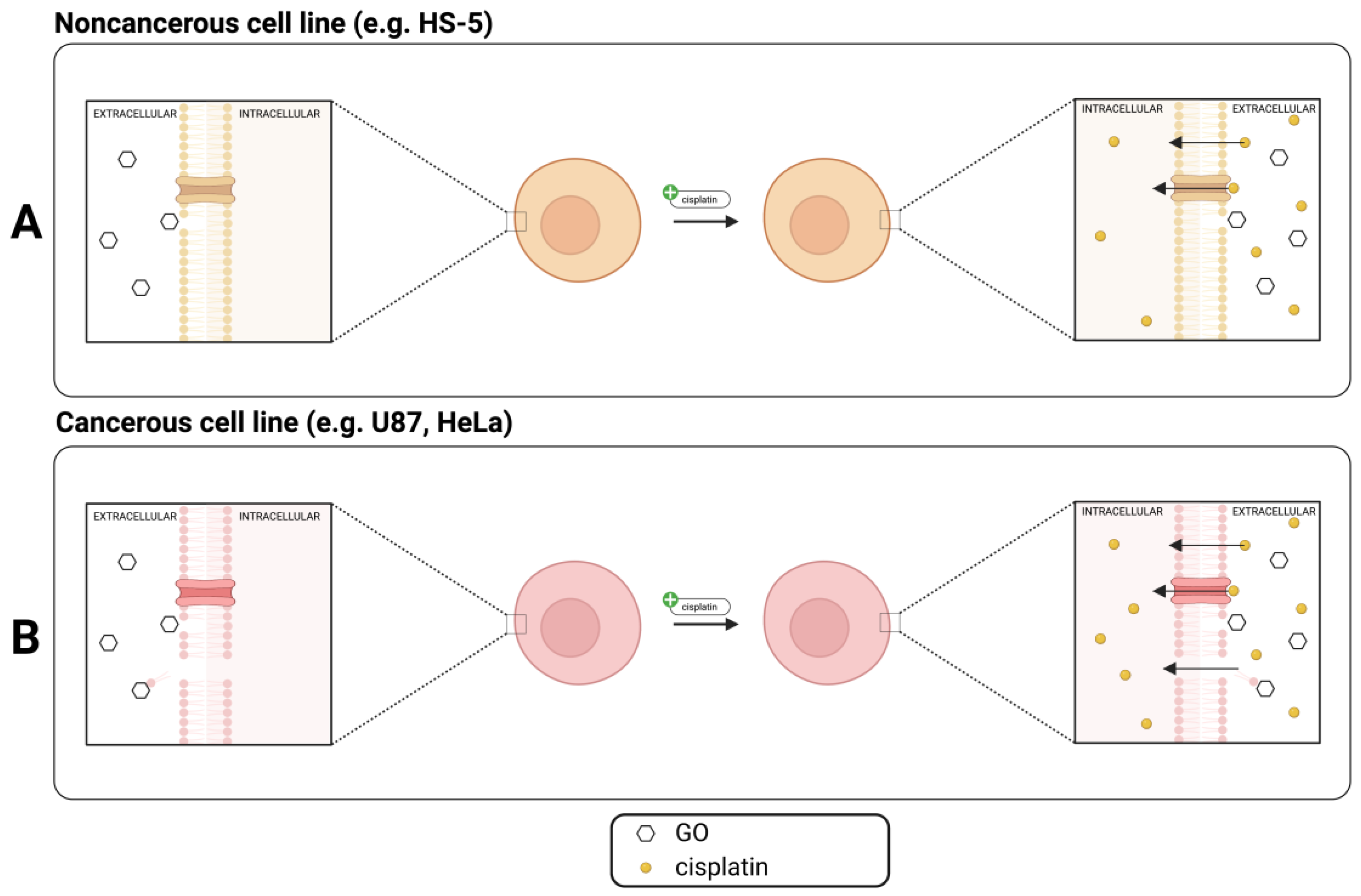 Molecules 28 06253 g010