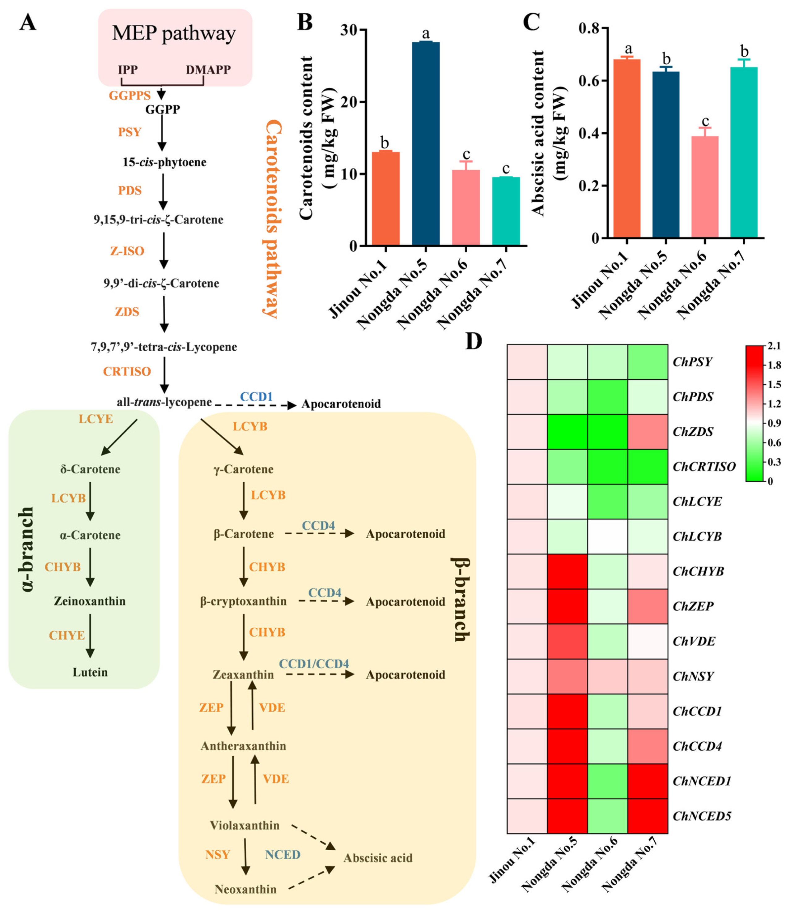 Molecules 28 06272 g003