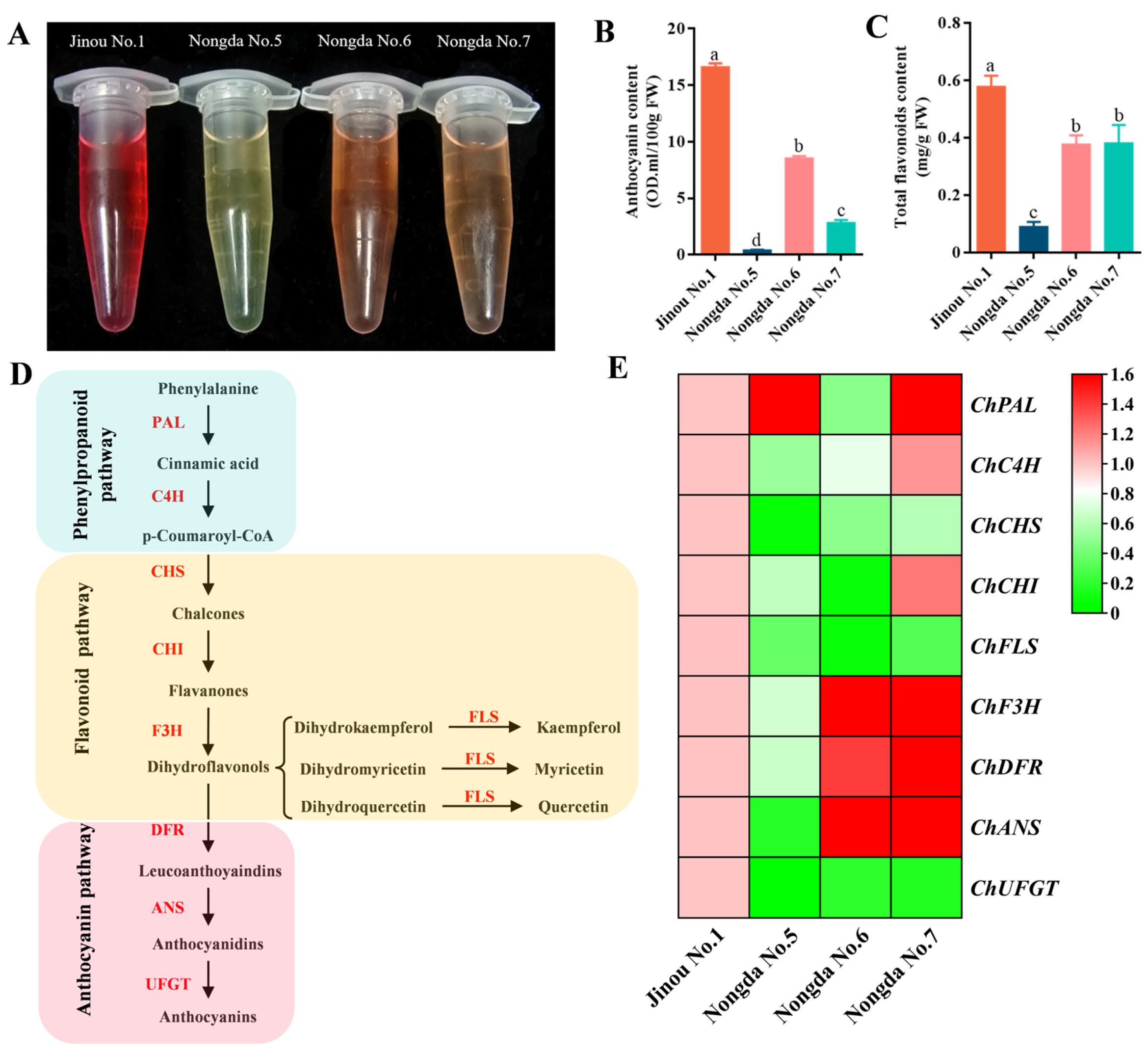 Molecules 28 06272 g005