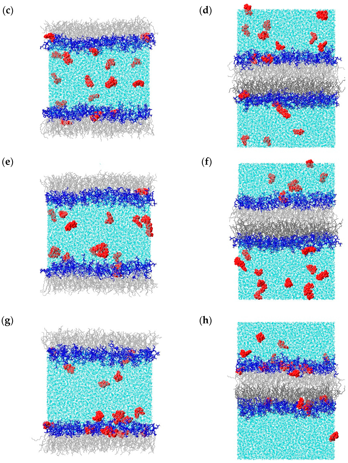 Molecules 28 06273 g001b Molecules 28 06273 g001b