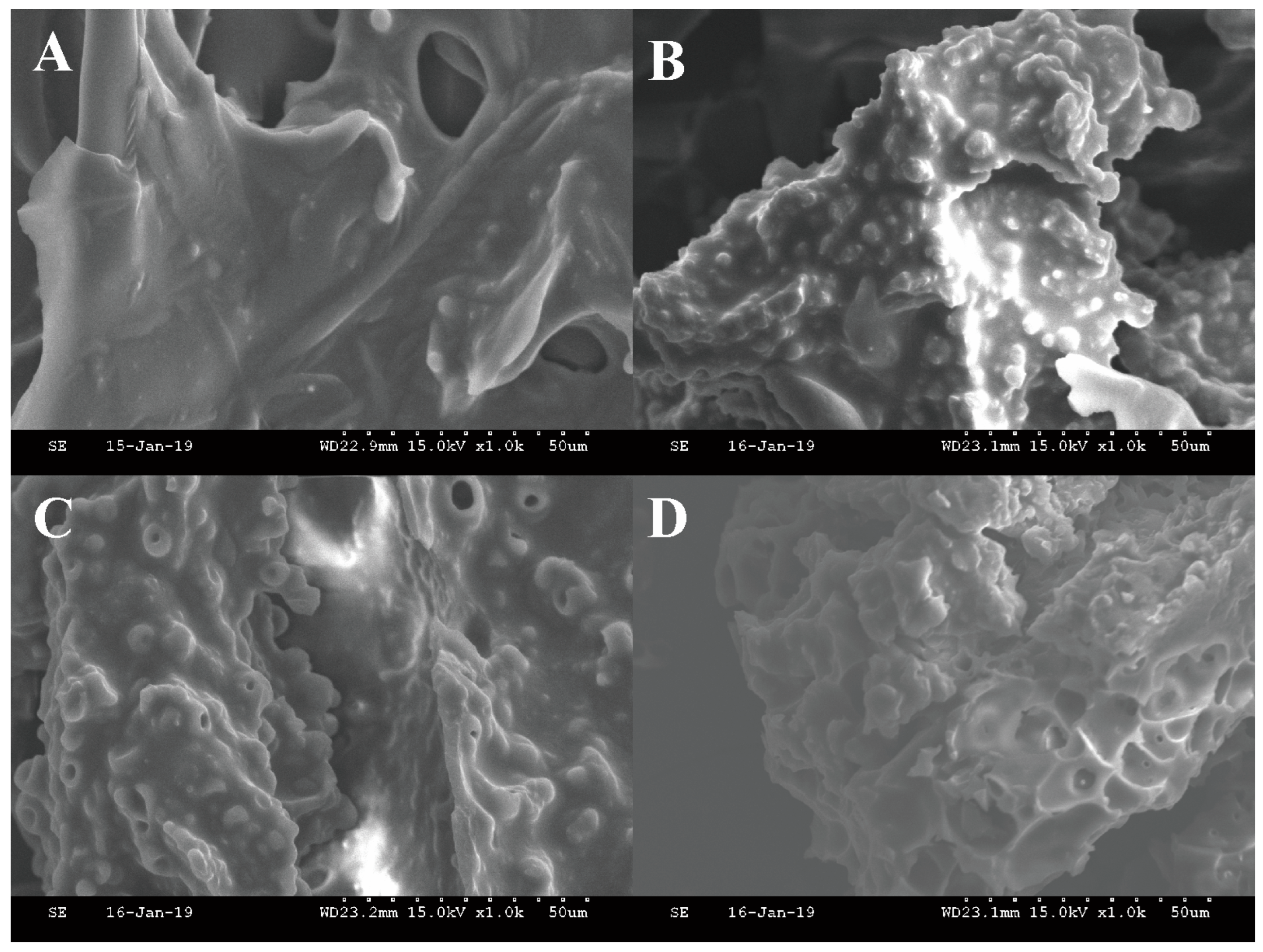 Molecules 28 06277 g003 Molecules 28 06277 g003