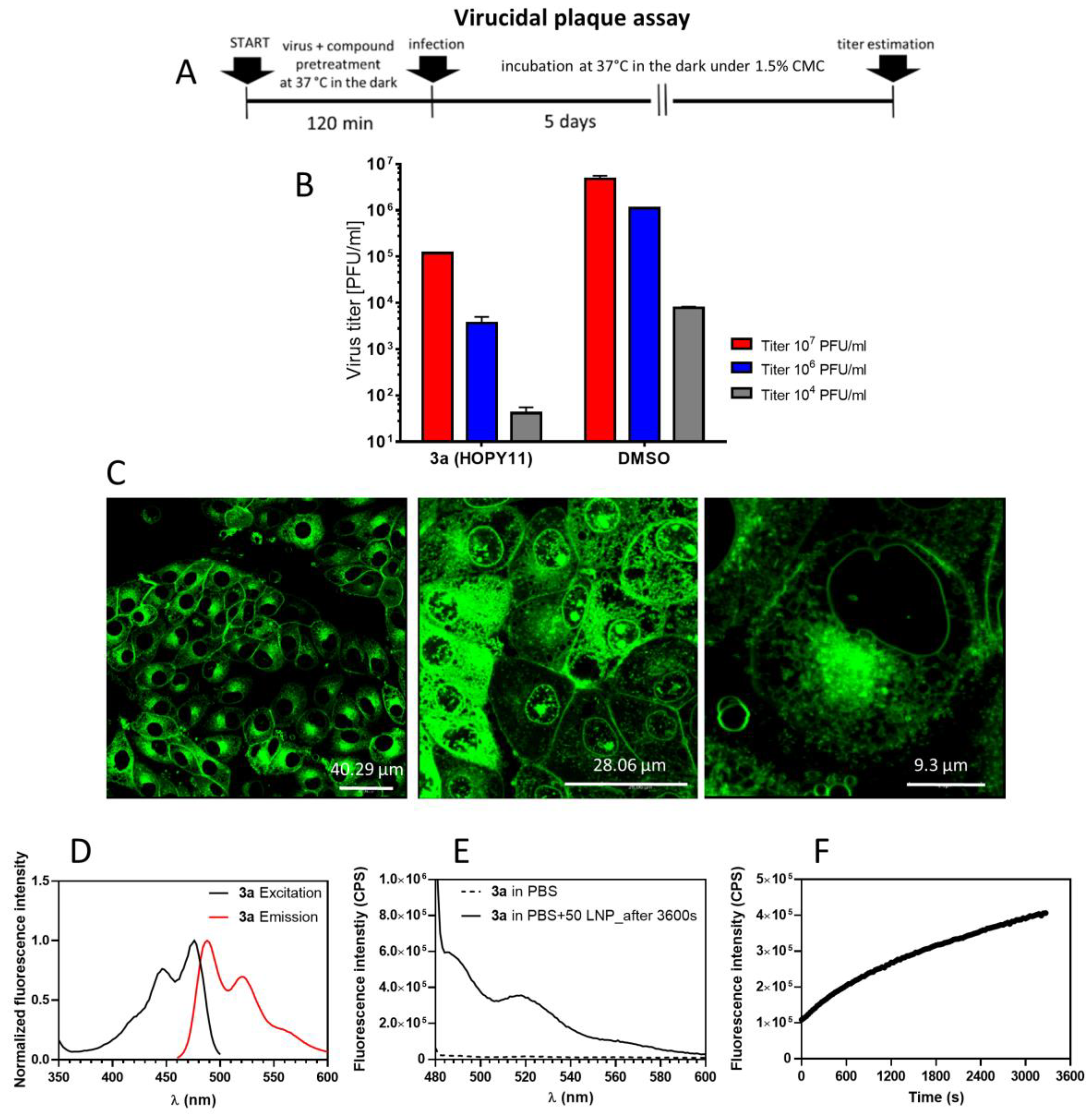 Molecules 28 06278 g006