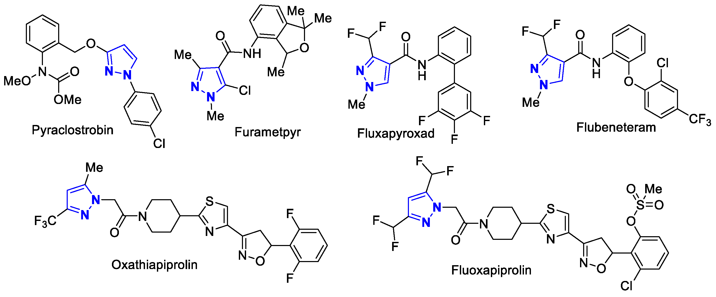 Molecules 28 06279 g001