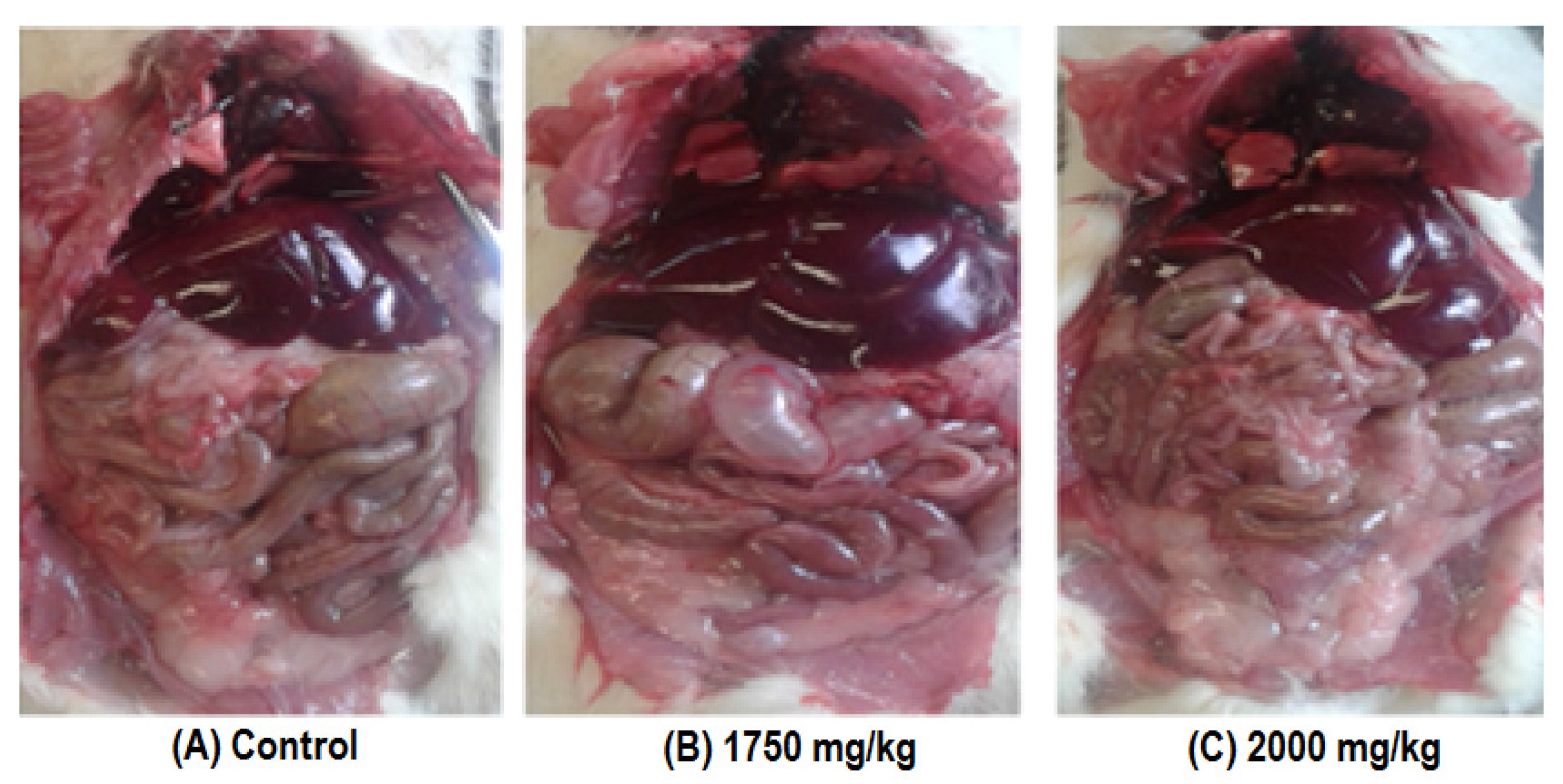 Molecules 28 06282 g001