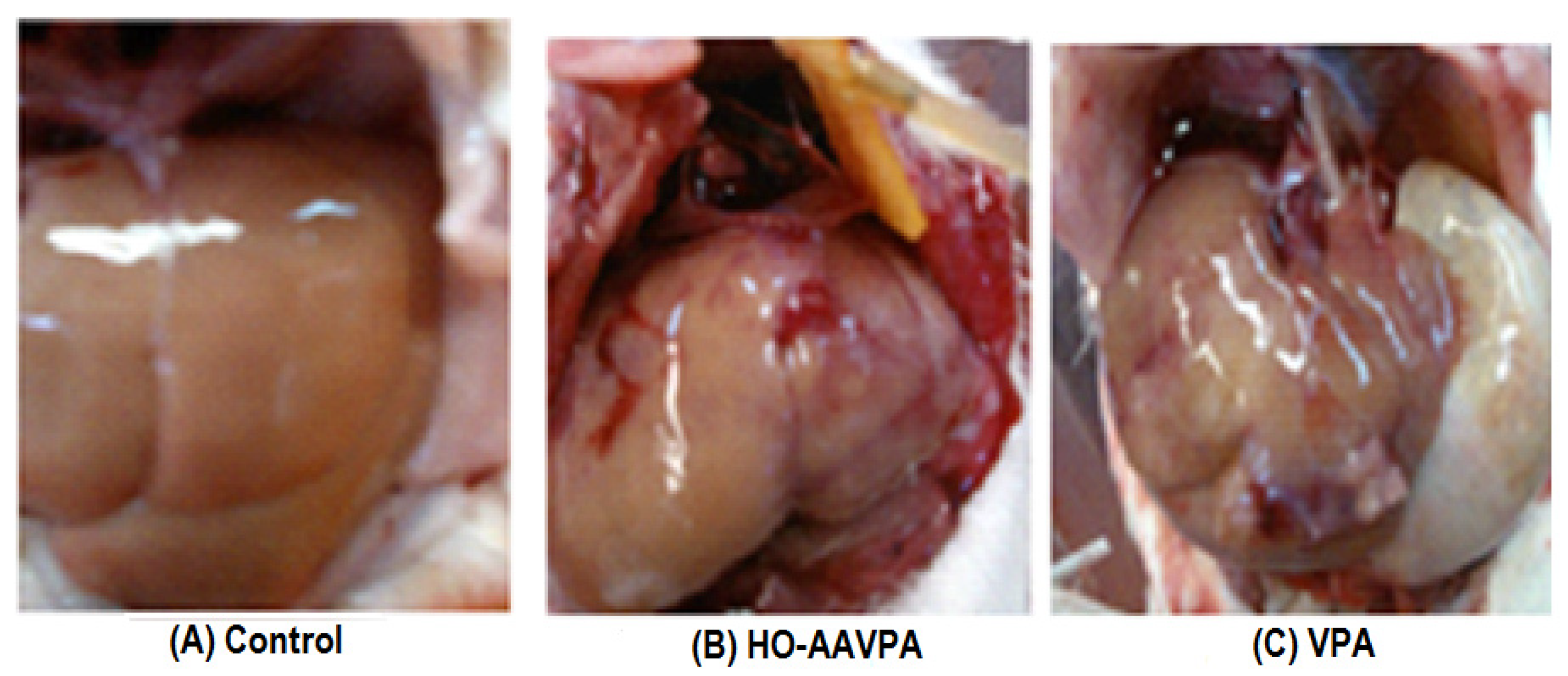 Molecules 28 06282 g002