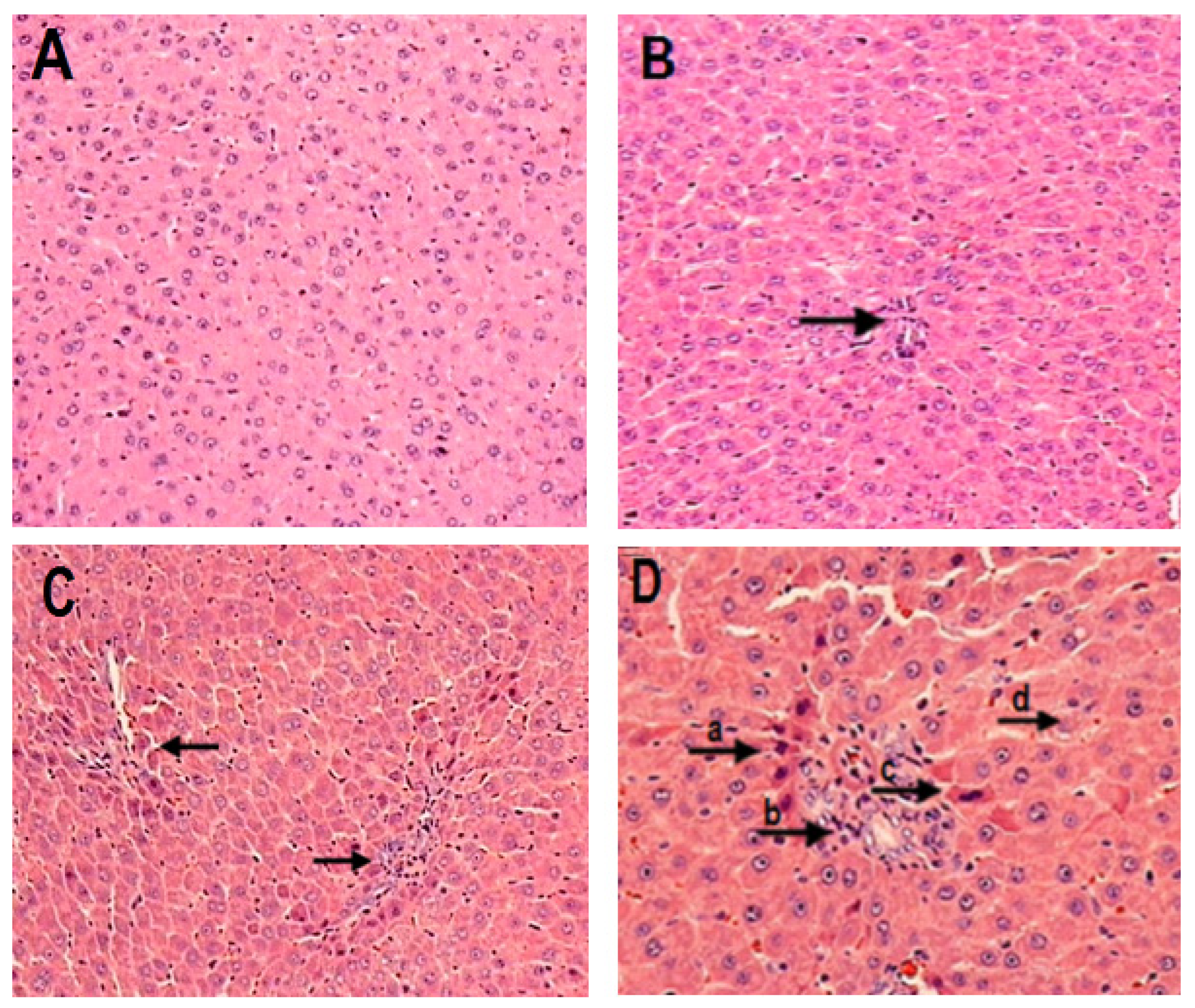 Molecules 28 06282 g007