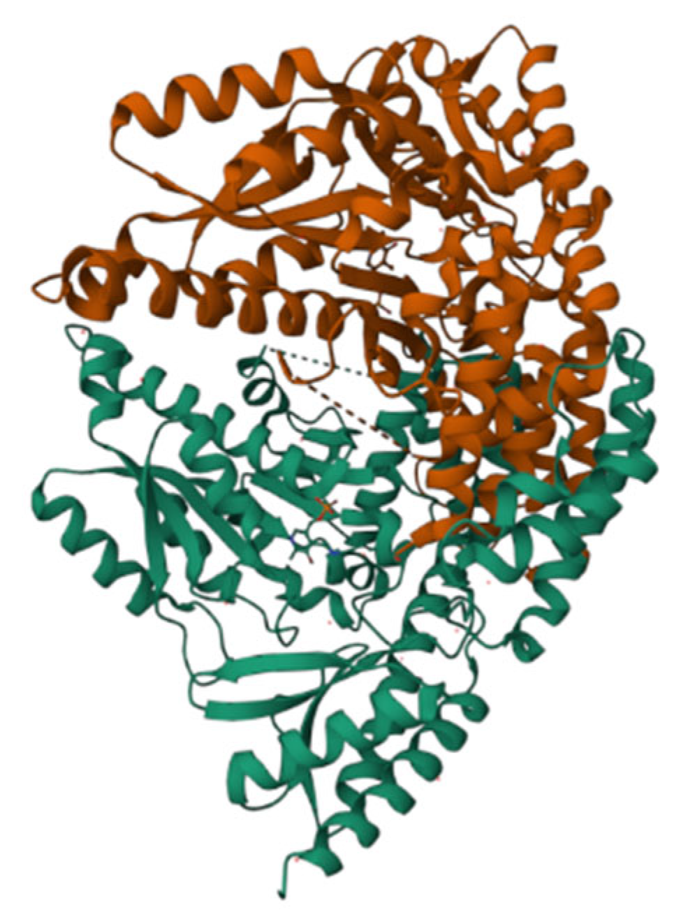 Molecules 28 06286 g006