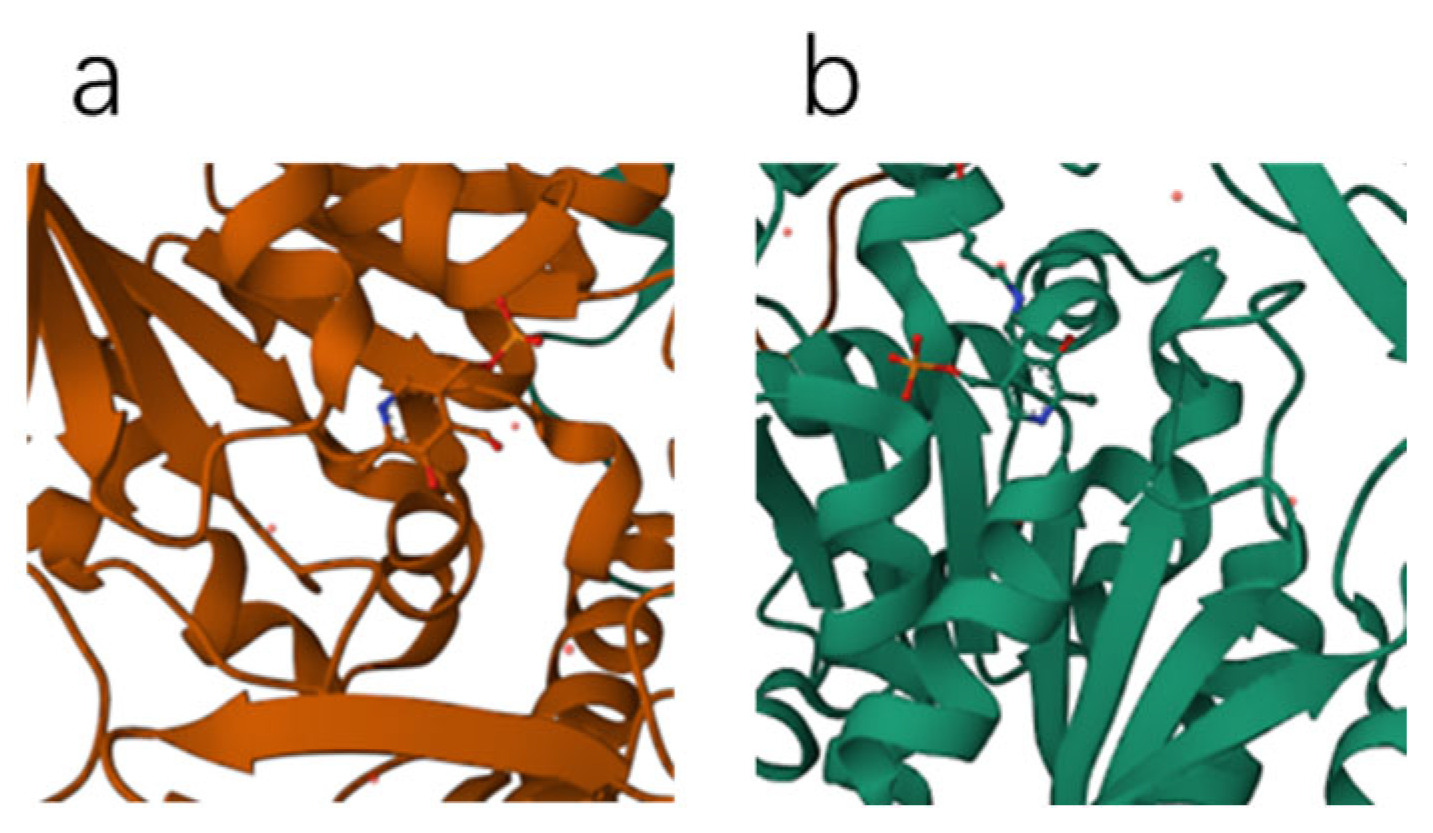Molecules 28 06286 g007