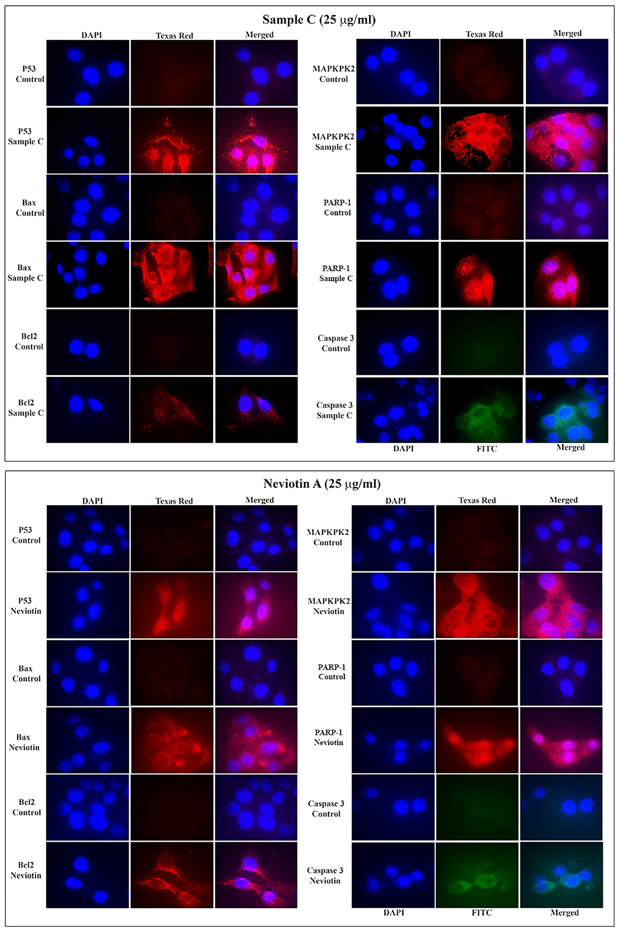 Molecules 28 06289 g005