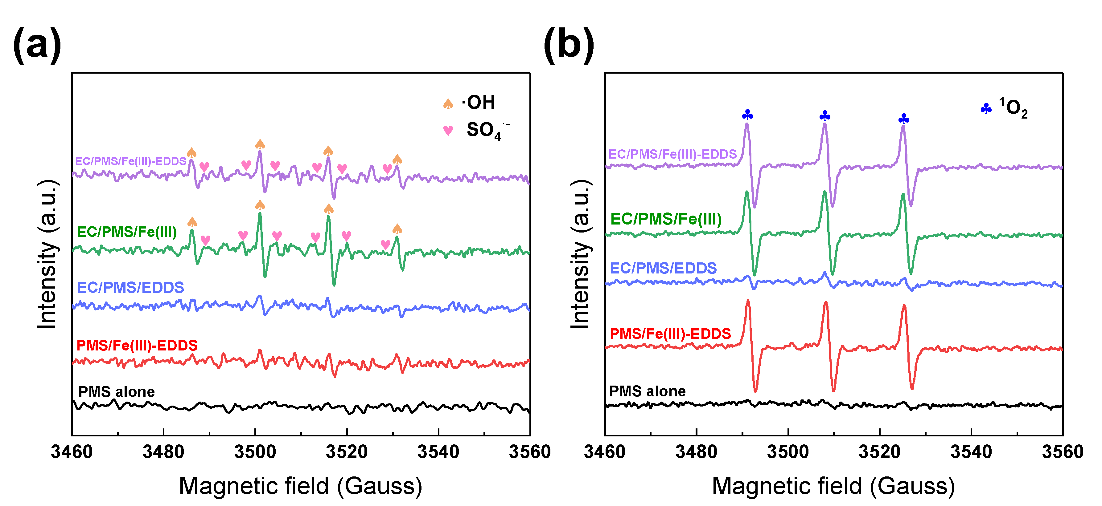 Molecules 28 06290 g004