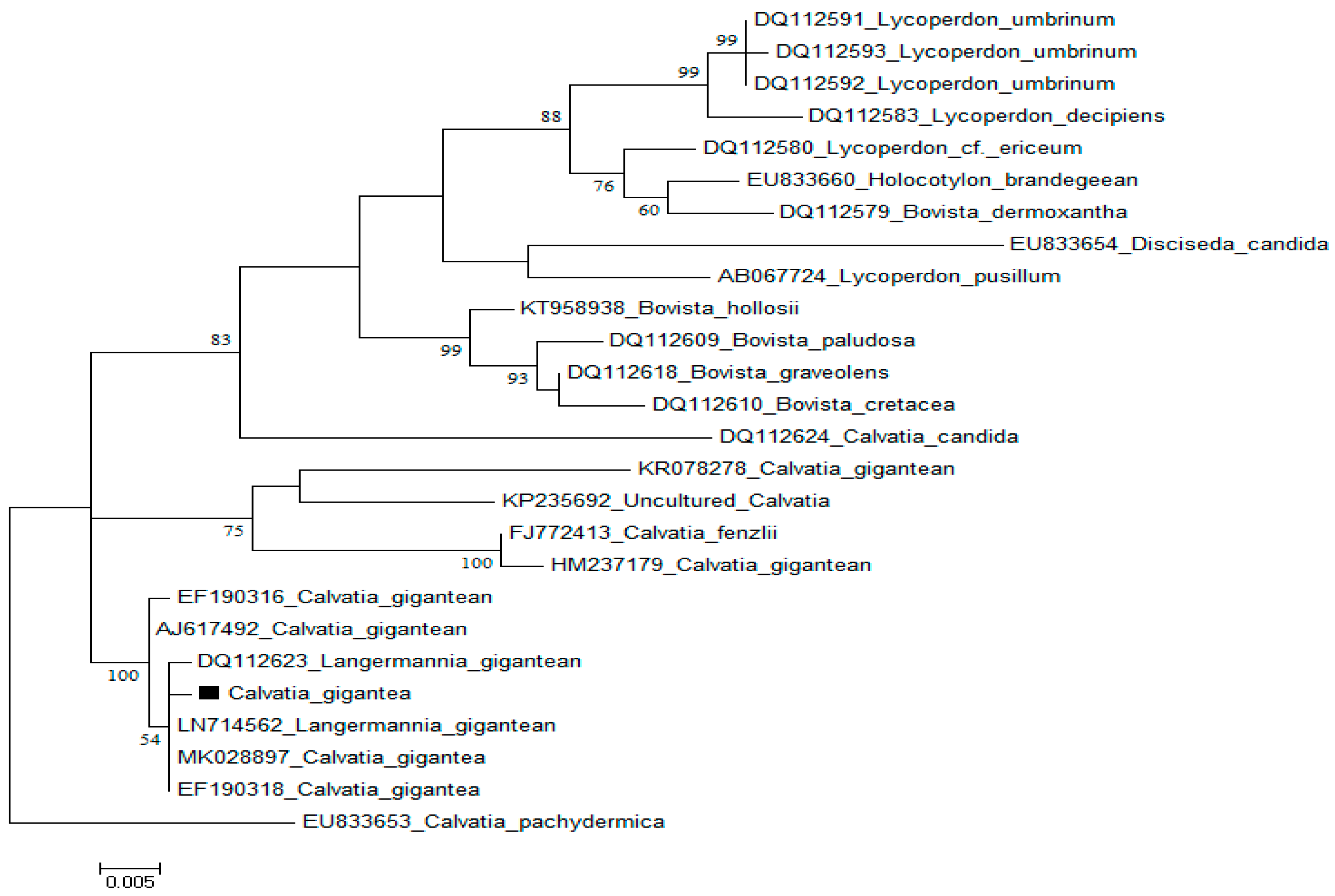Molecules 28 06291 g002 Molecules 28 06291 g002