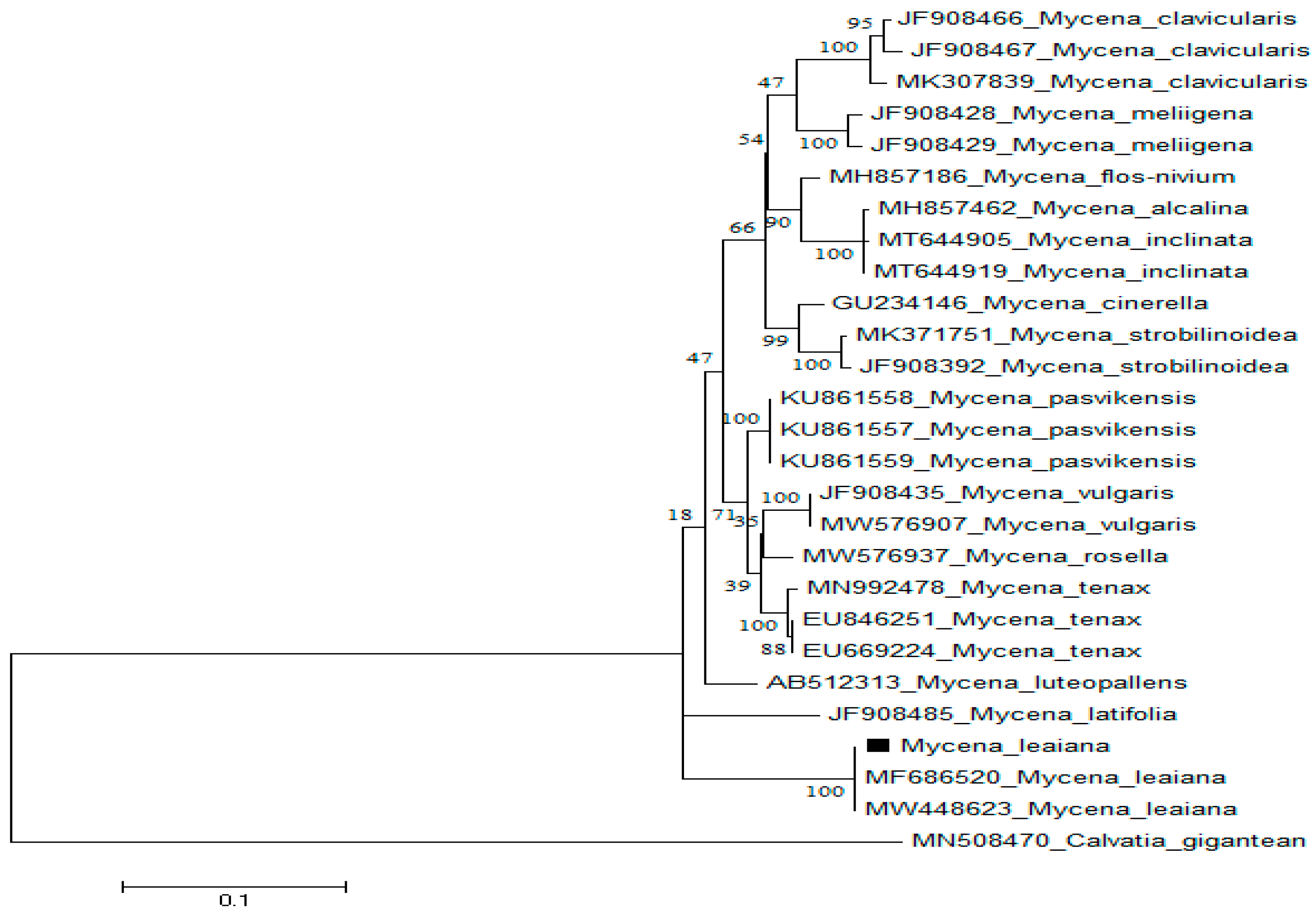 Molecules 28 06291 g004 Molecules 28 06291 g004
