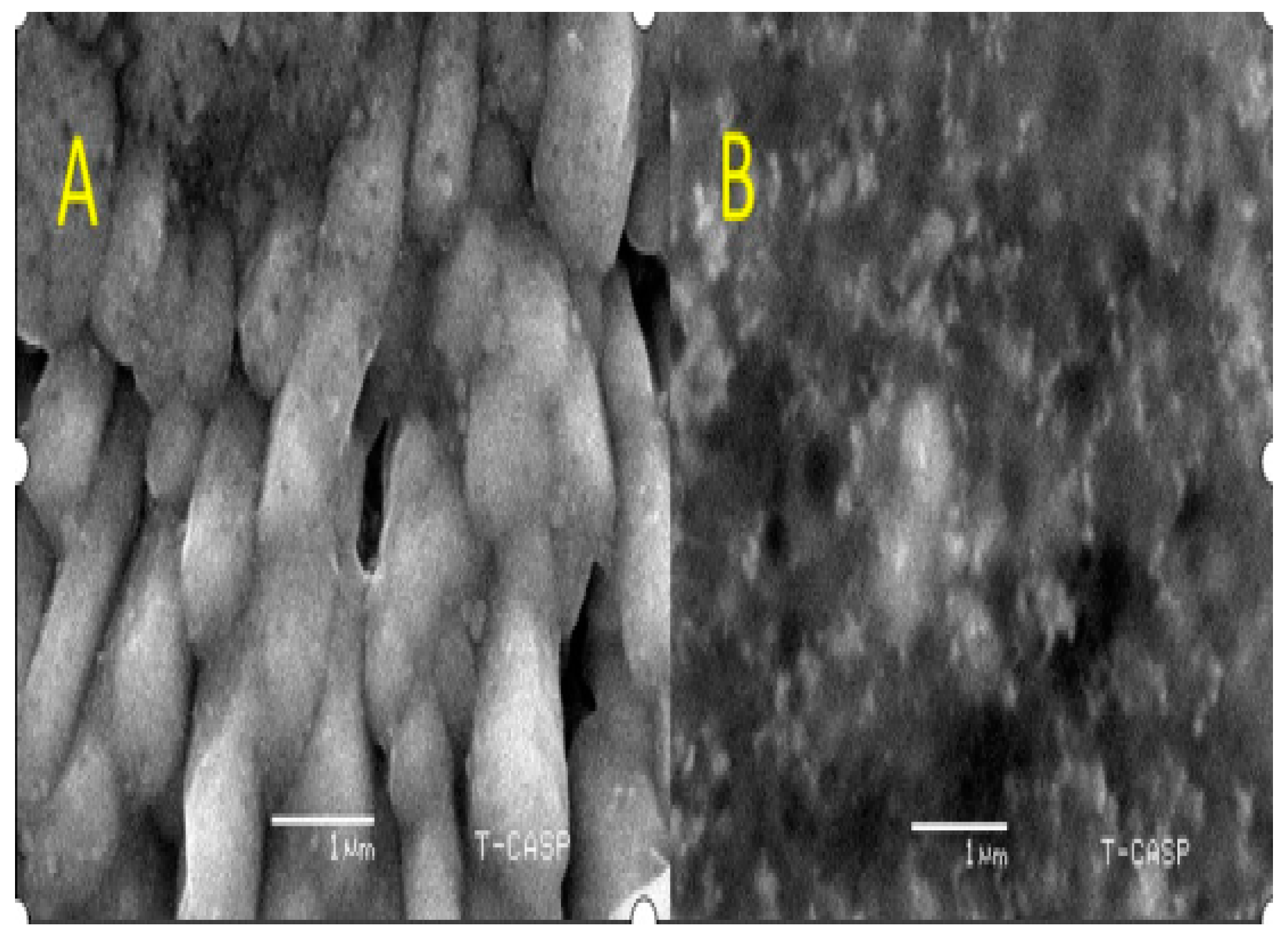 Molecules 28 06291 g007 Molecules 28 06291 g007