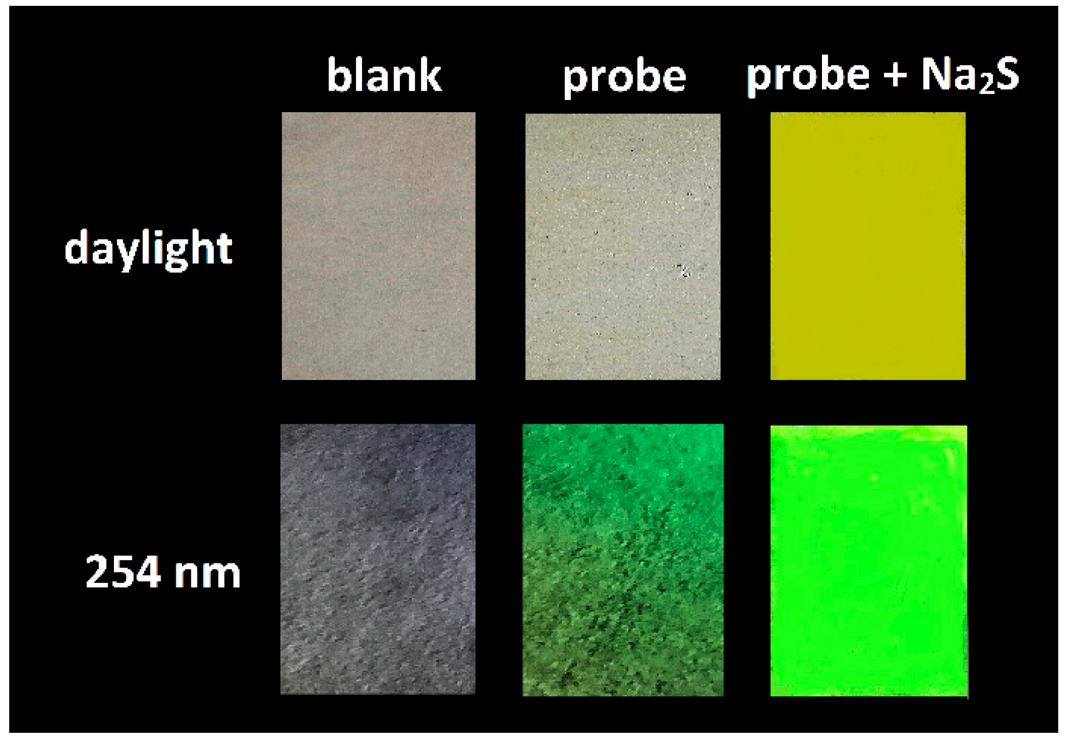 Molecules 28 06299 g009