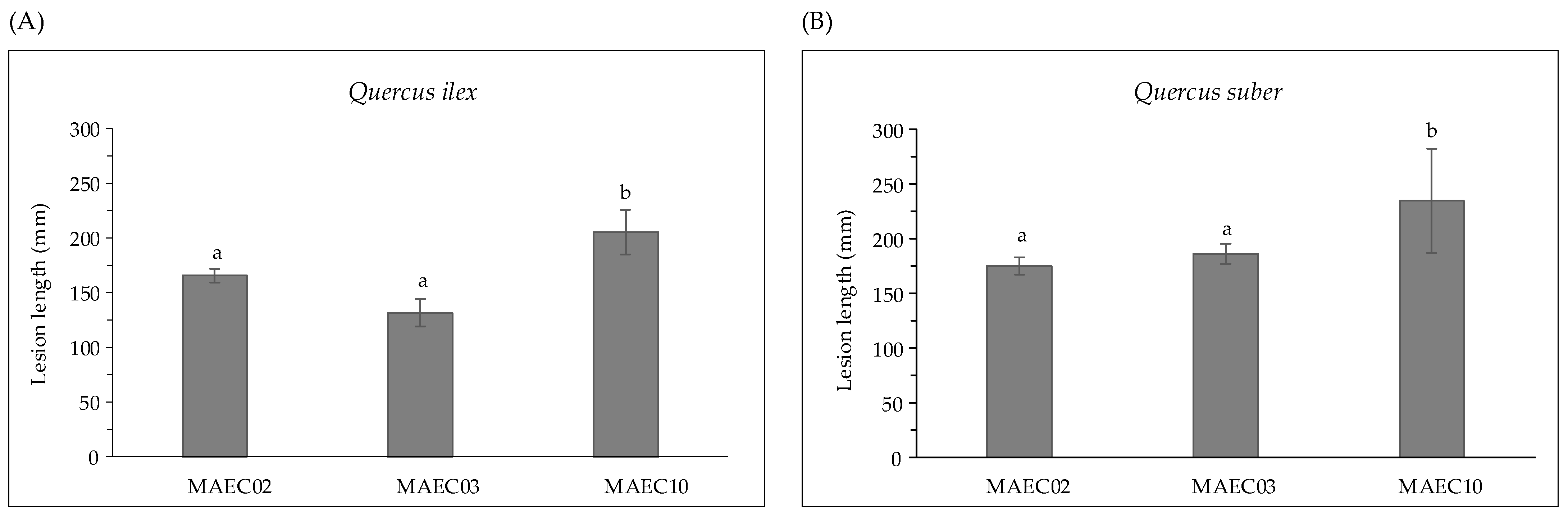 Molecules 28 06302 g002