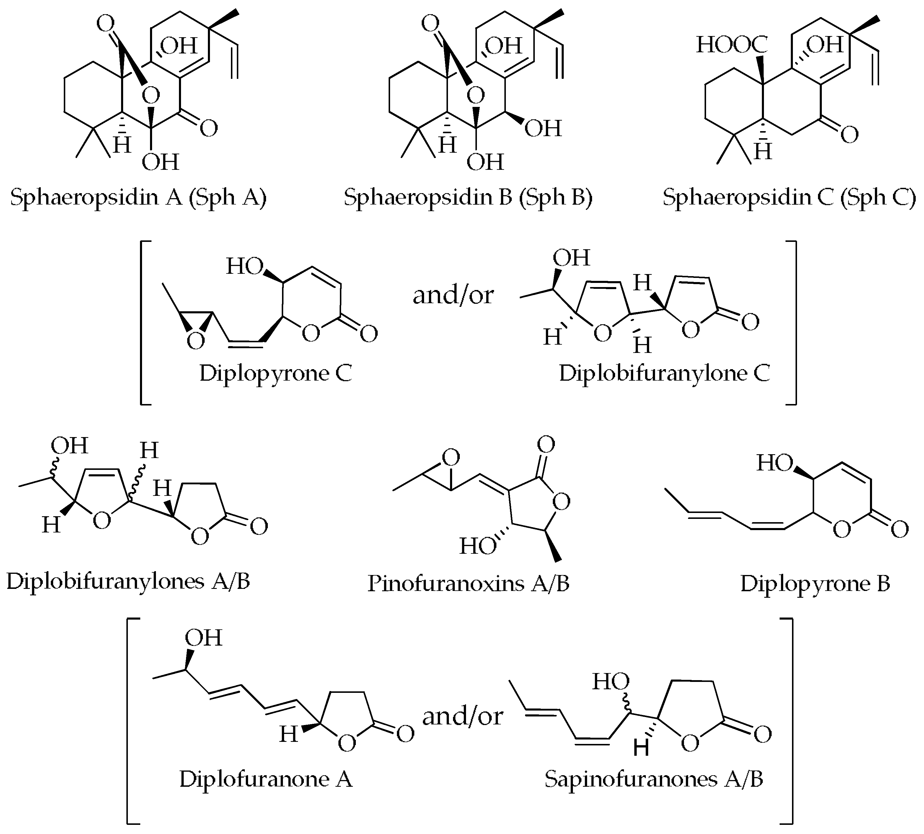 Molecules 28 06302 g003