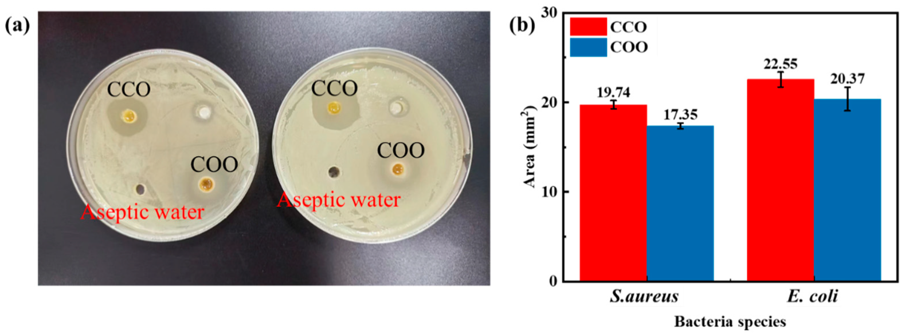 Molecules 28 06304 g001