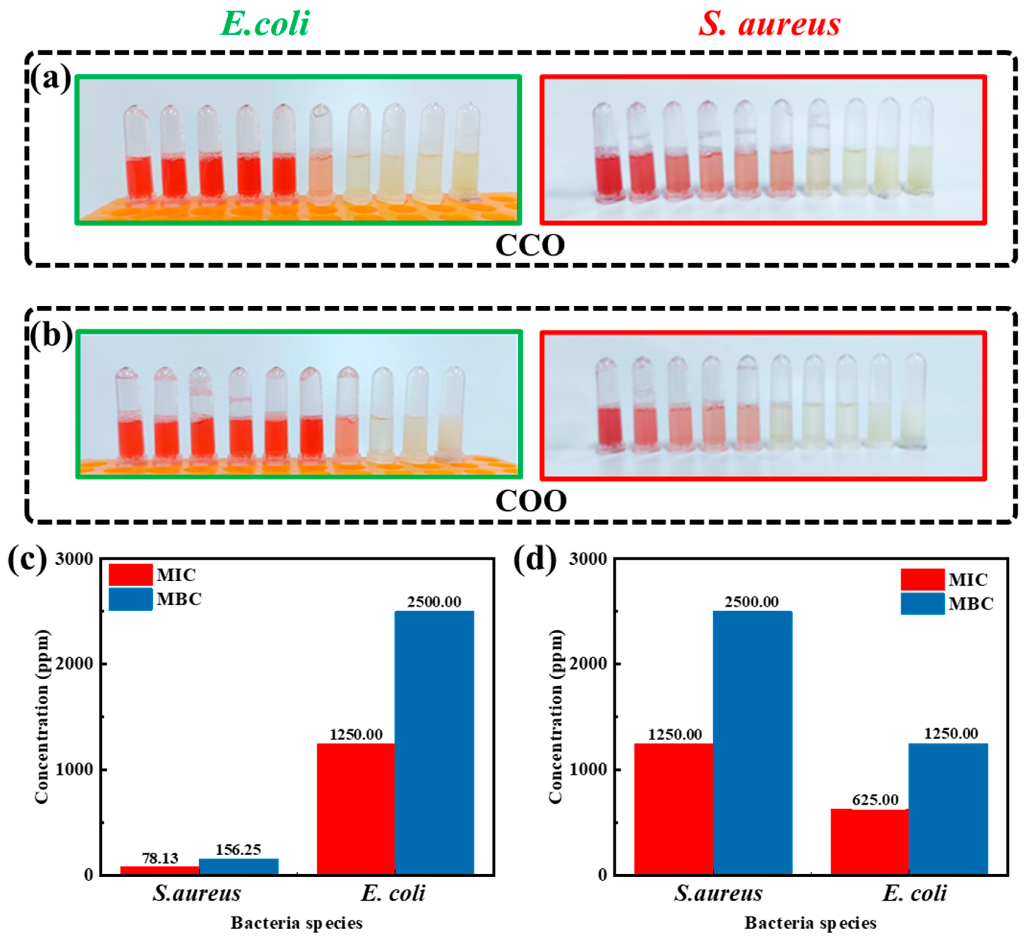Molecules 28 06304 g002