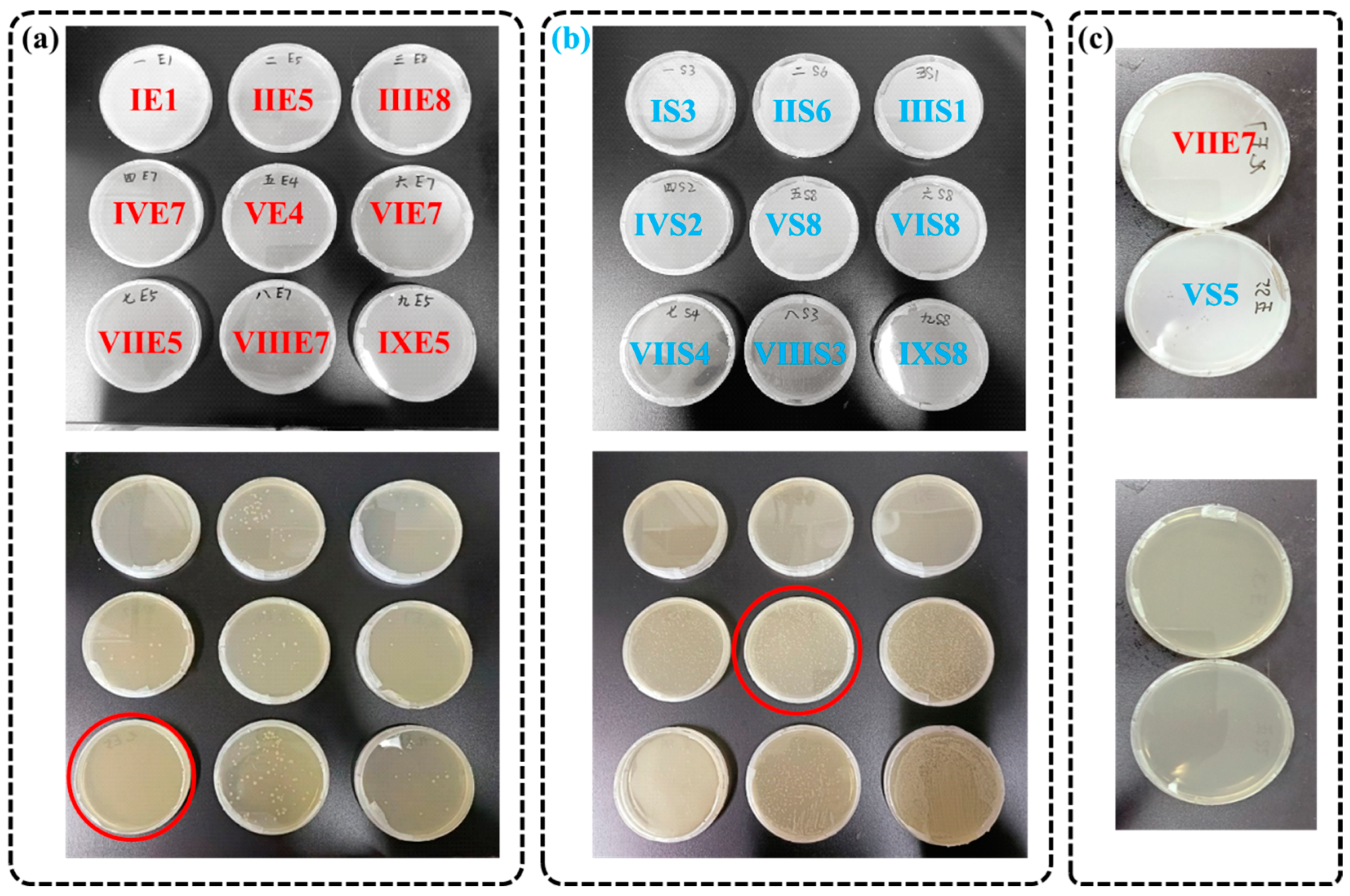 Molecules 28 06304 g003