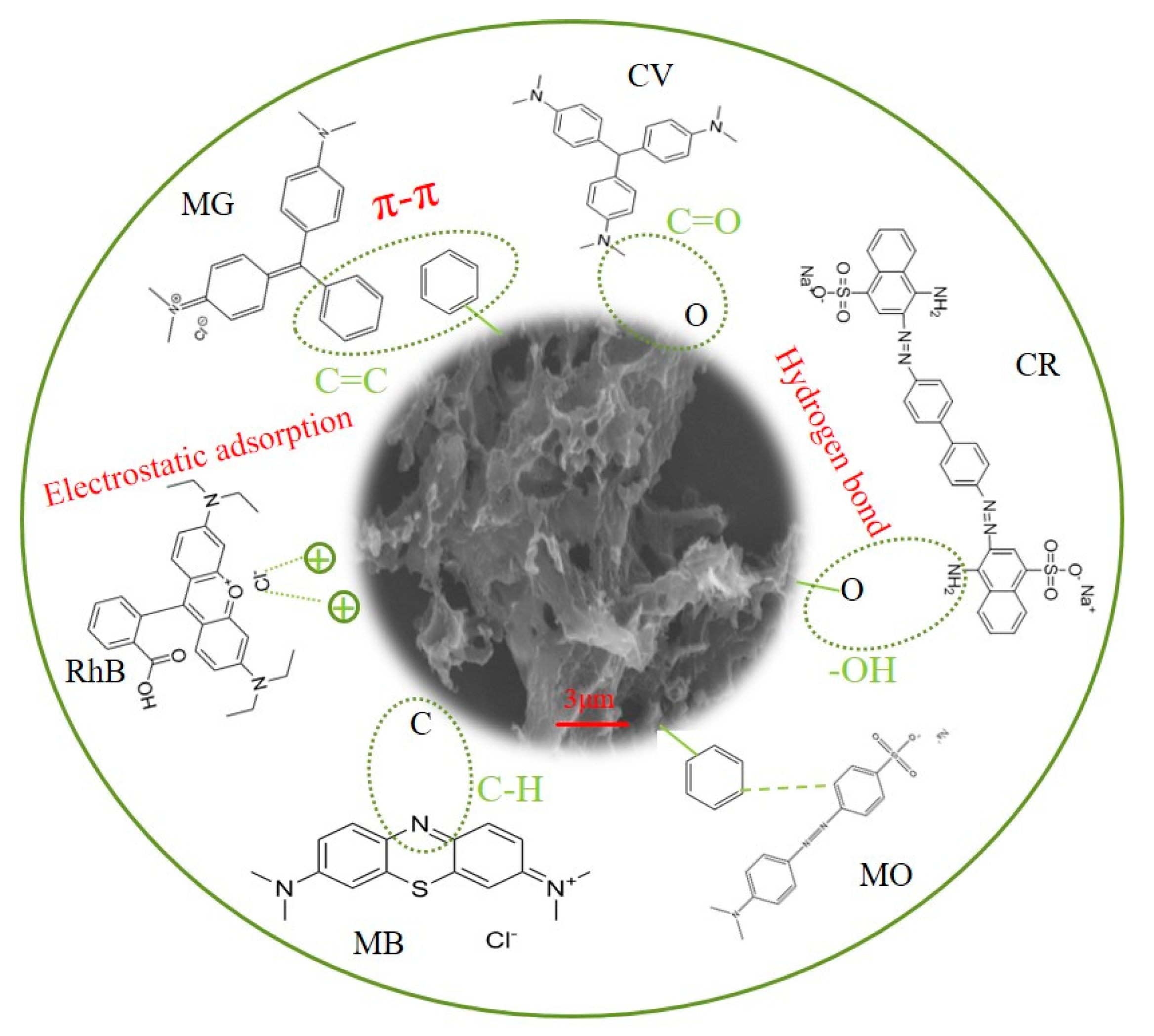 Molecules 28 06305 g007