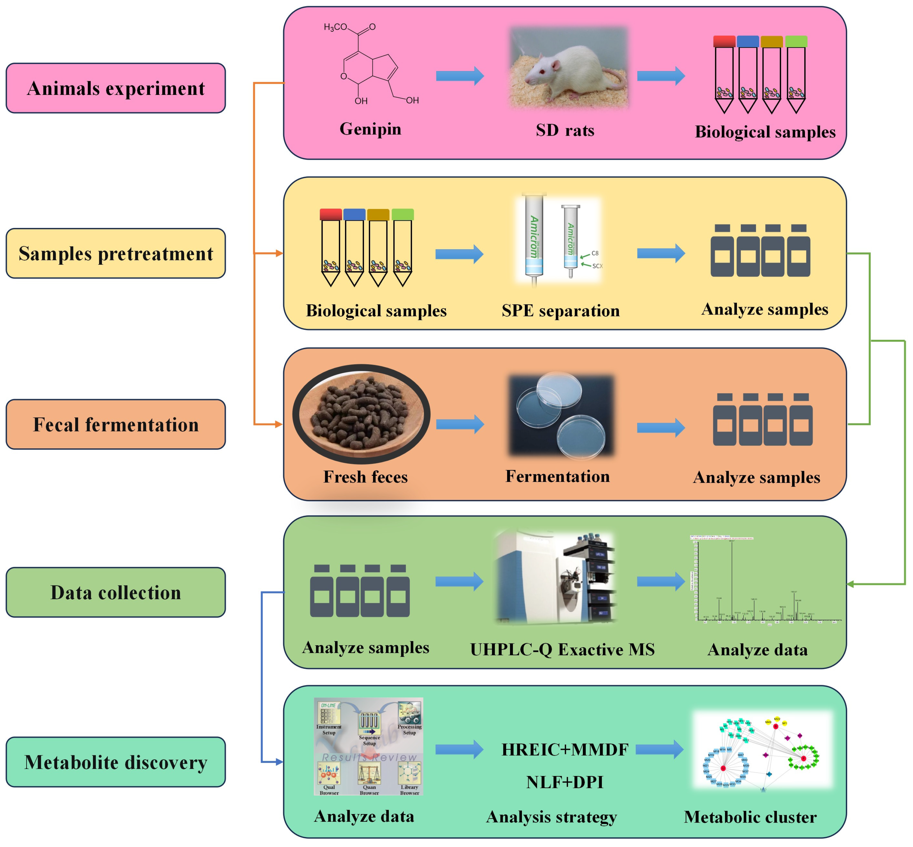 Molecules 28 06307 g001
