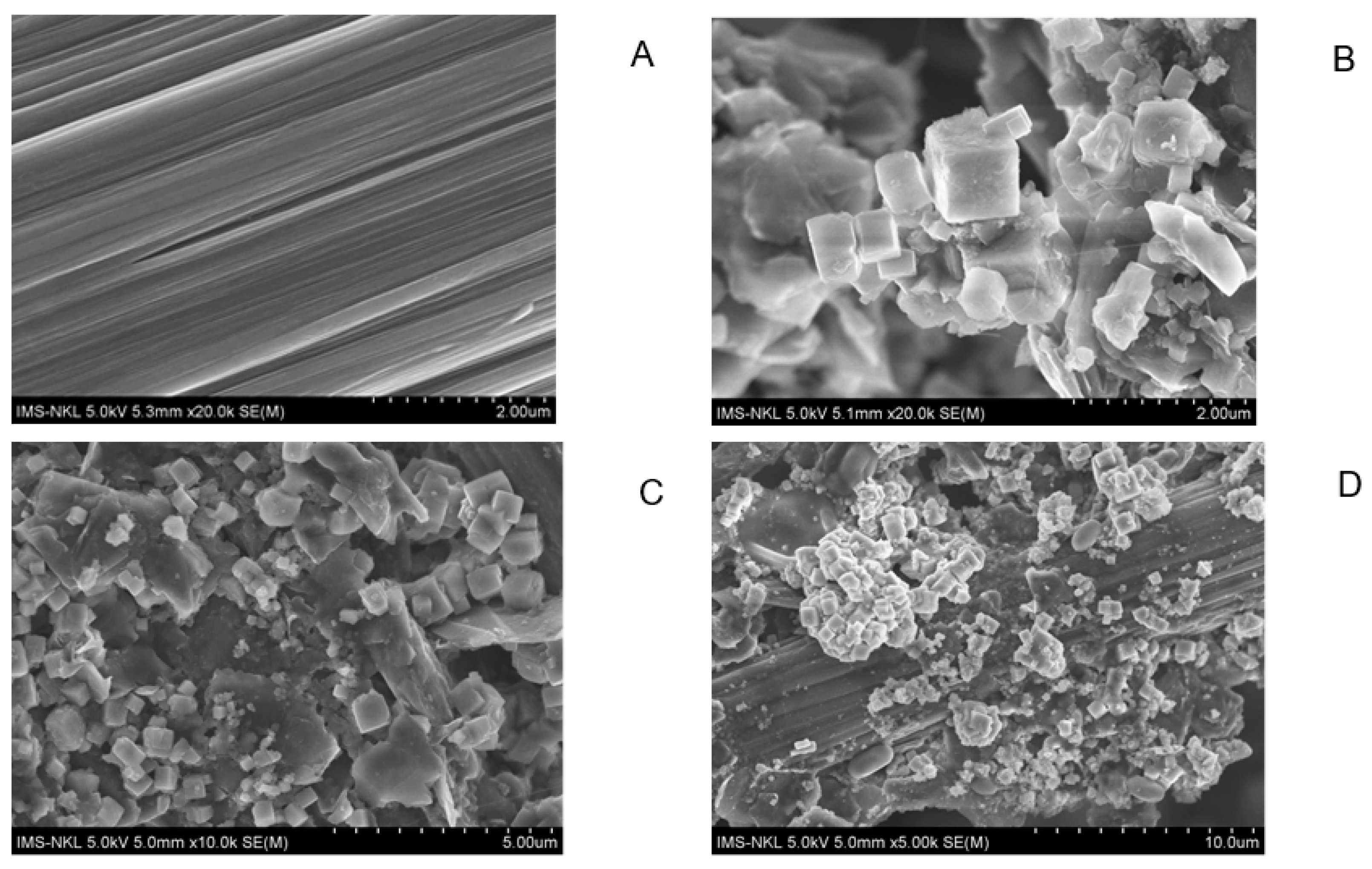Molecules 28 06309 g005