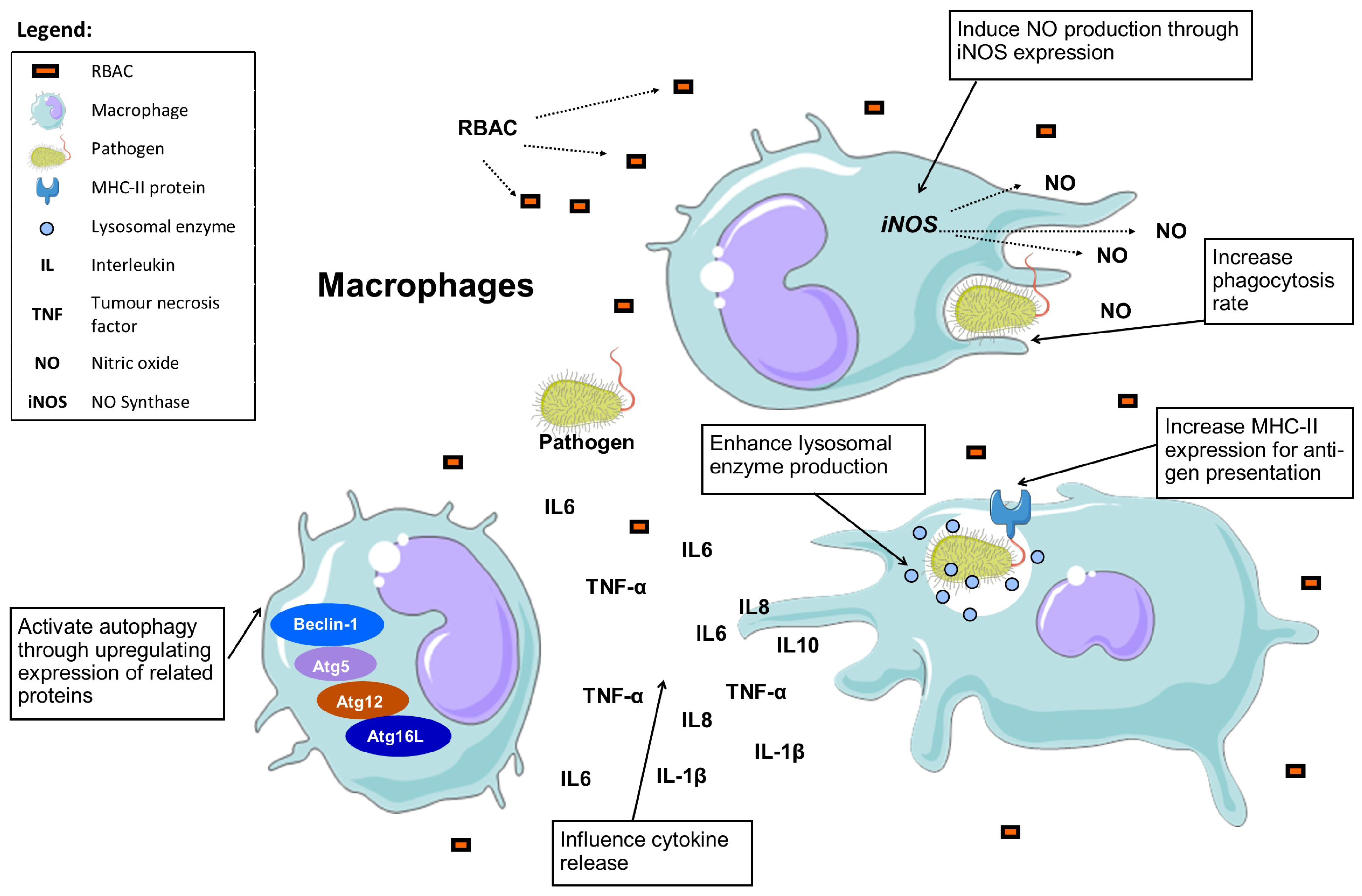 Molecules 28 06313 g003