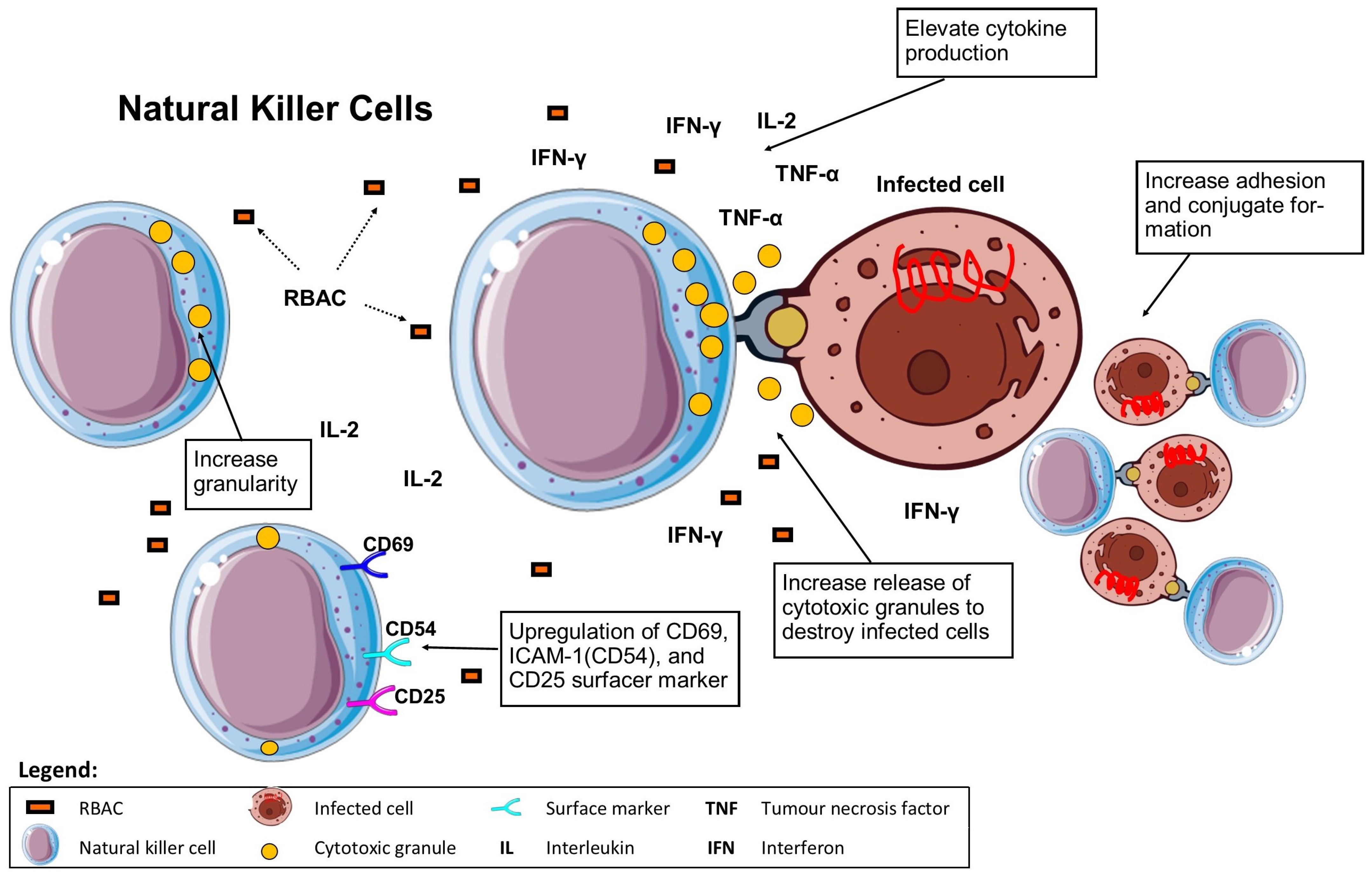 Molecules 28 06313 g004