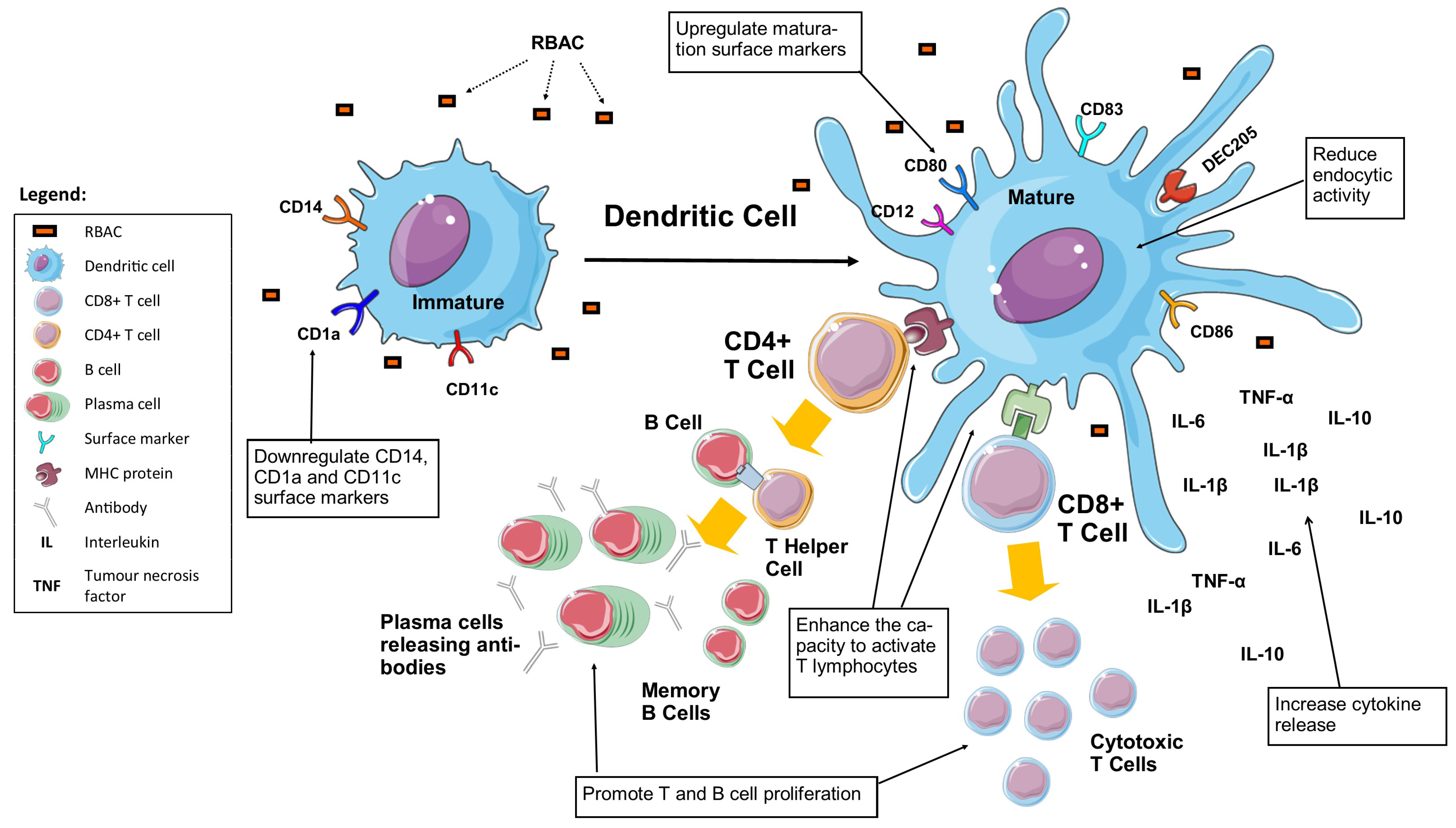 Molecules 28 06313 g005