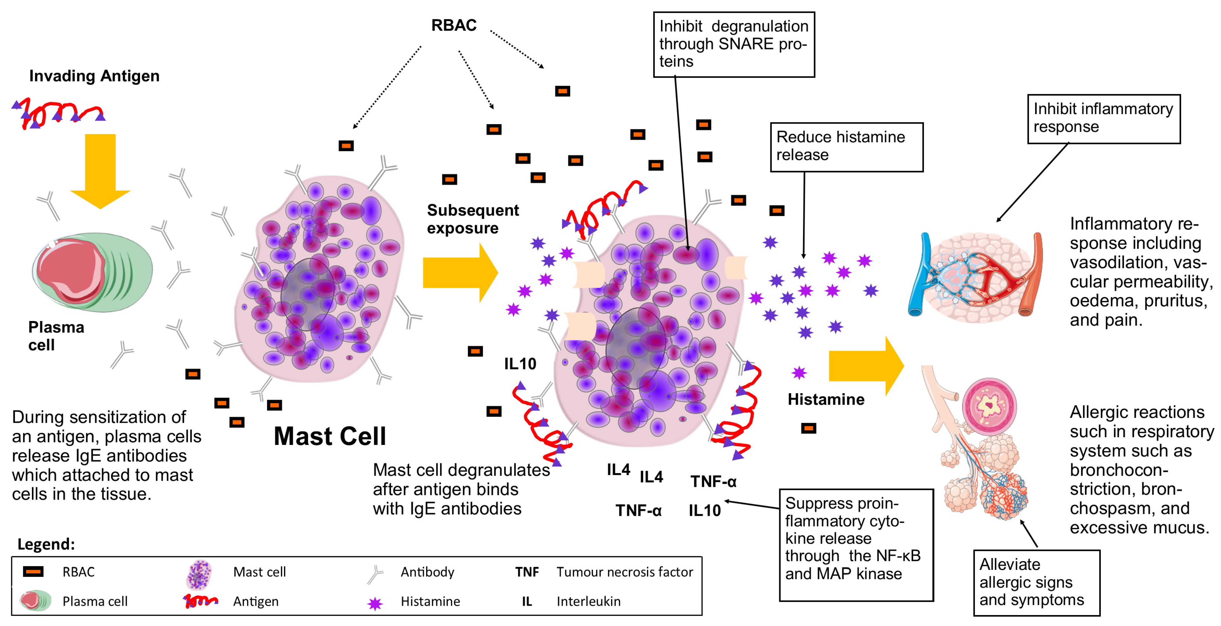Molecules 28 06313 g006