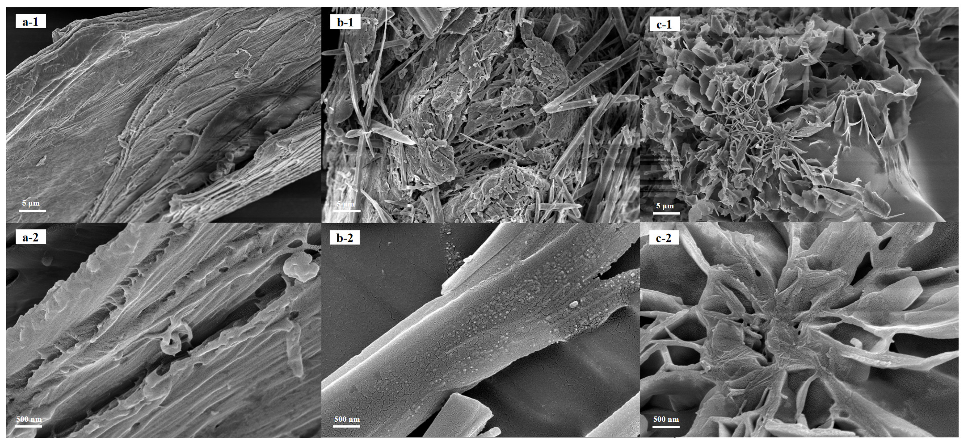 Molecules 28 06316 g002