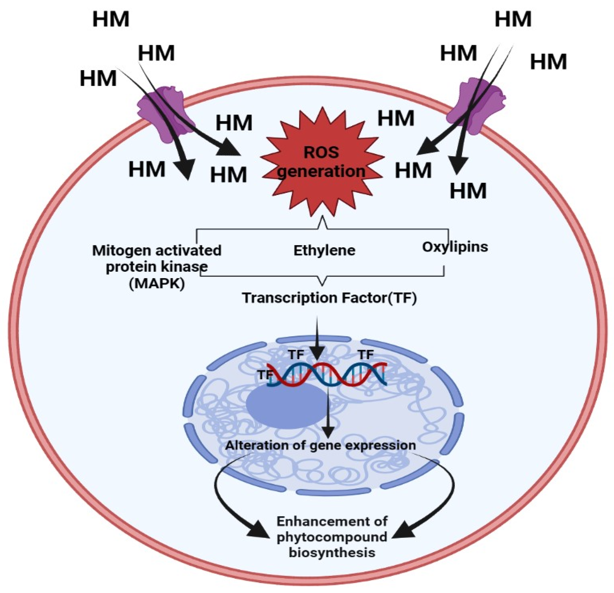 Molecules 28 06322 g002