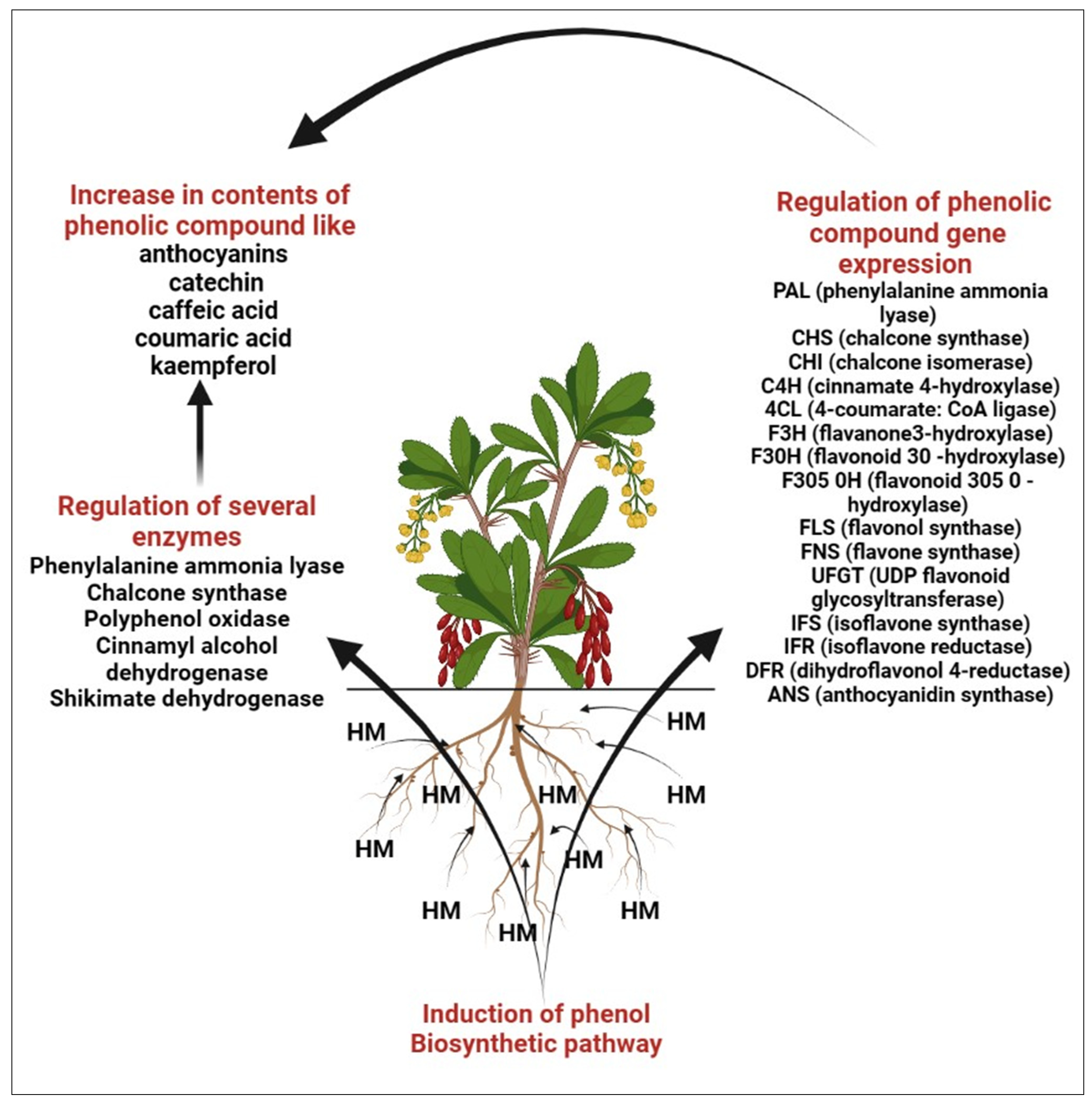 Molecules 28 06322 g003
