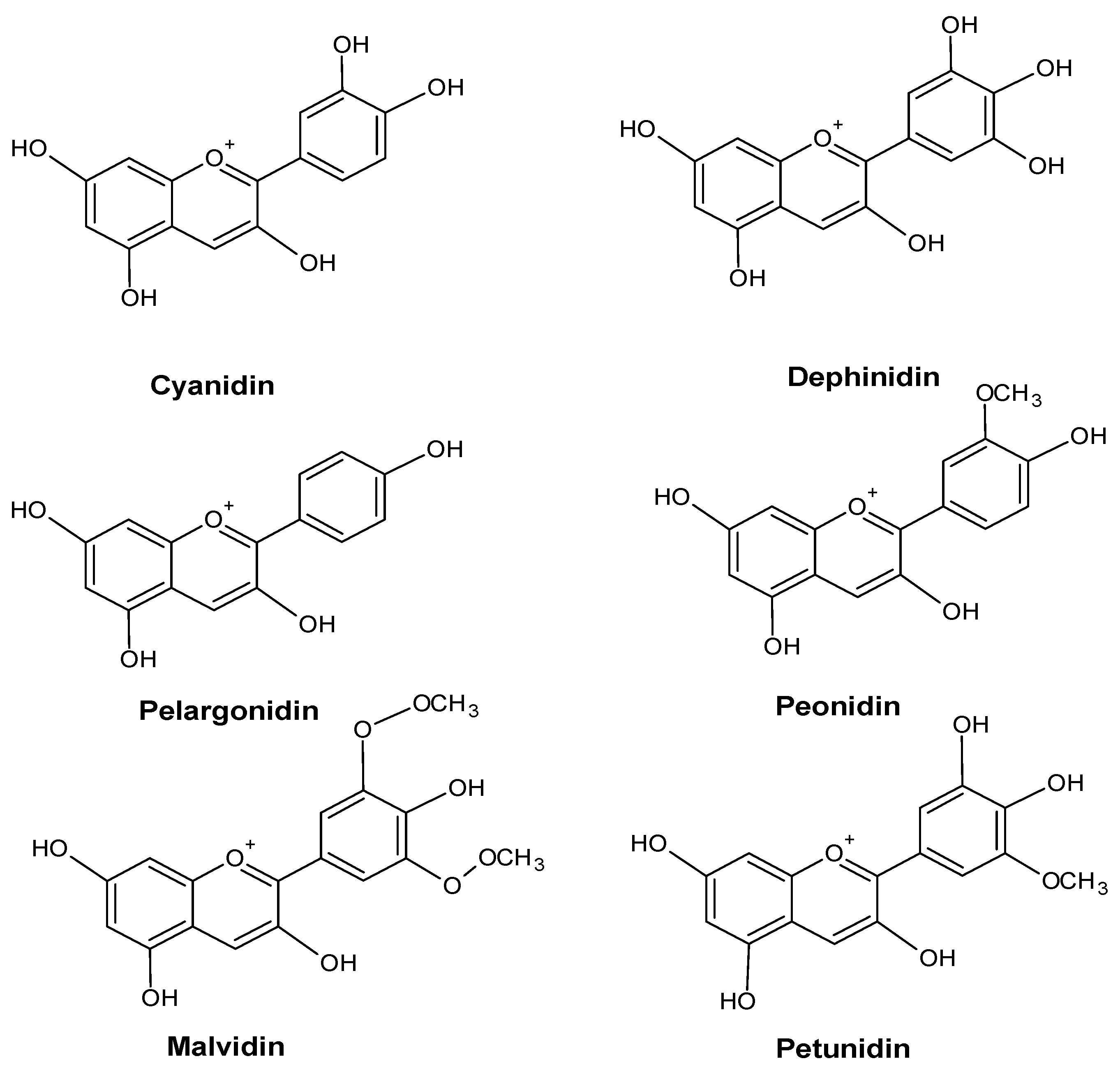 Molecules 28 06322 g005