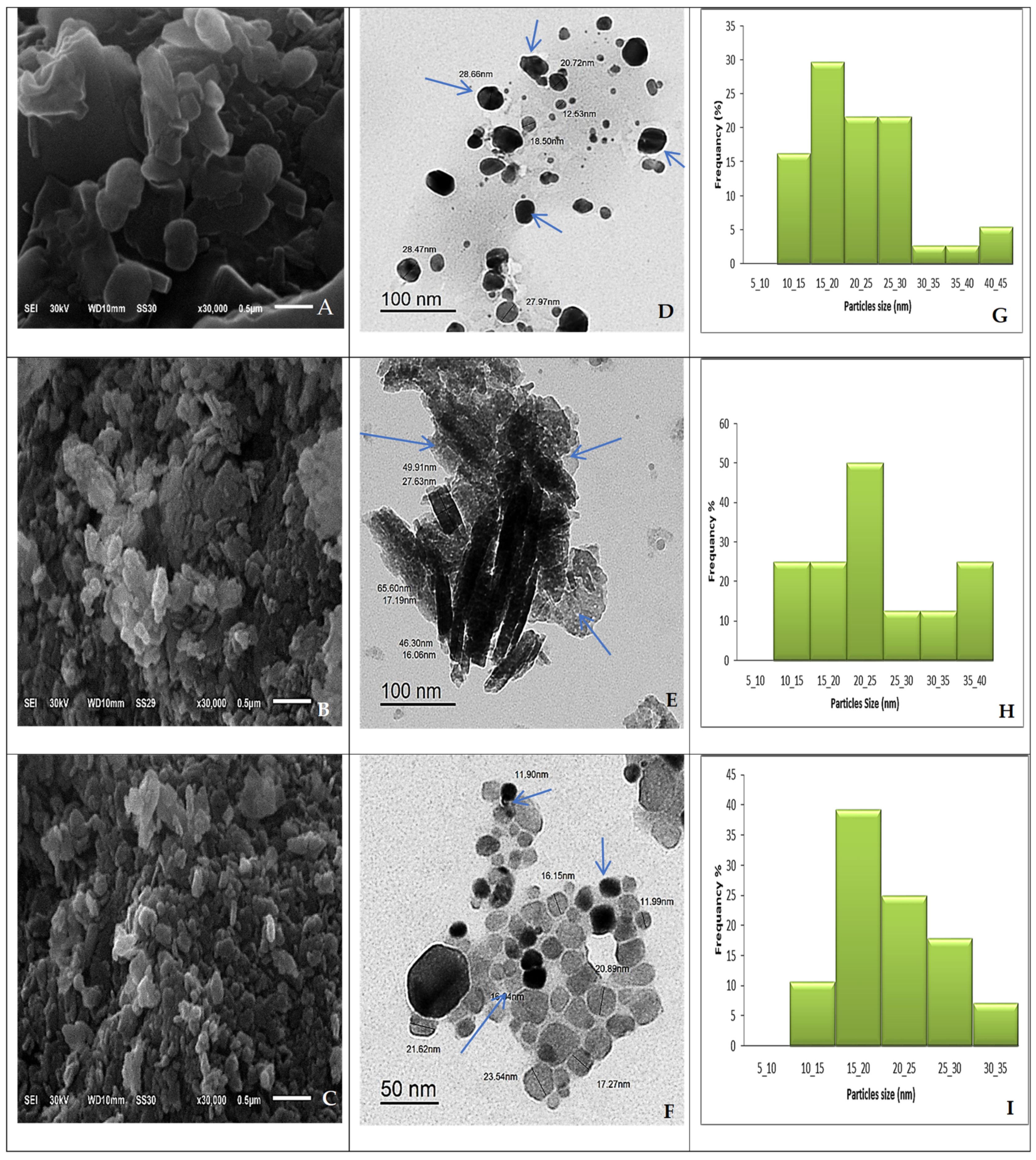 Molecules 28 06324 g002