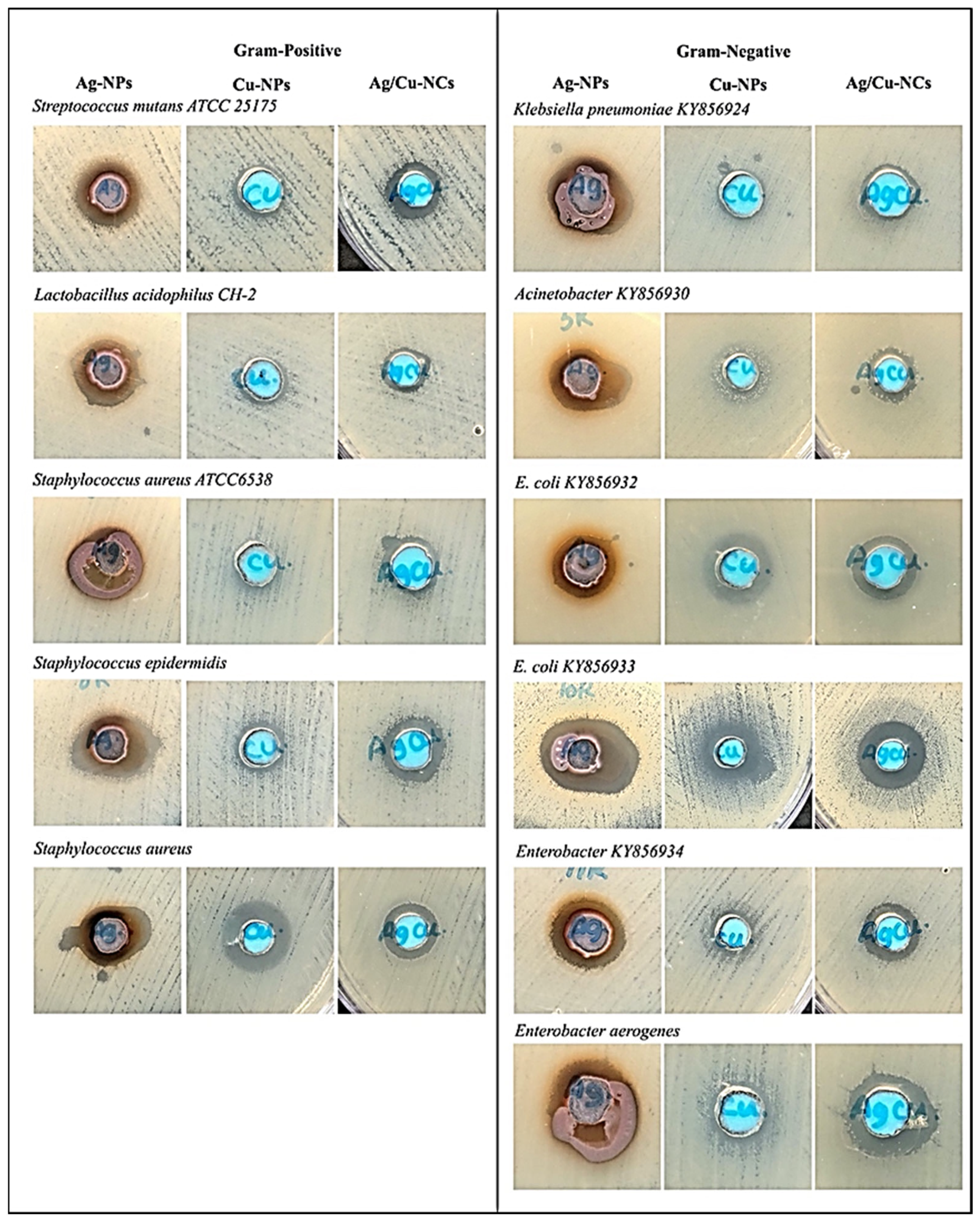 Molecules 28 06324 g006