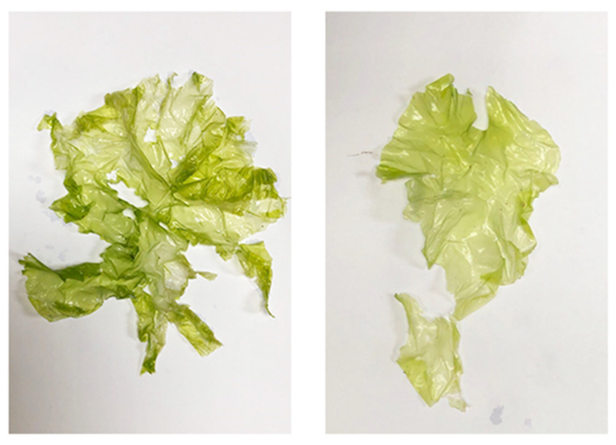 Molecules 28 06324 g008