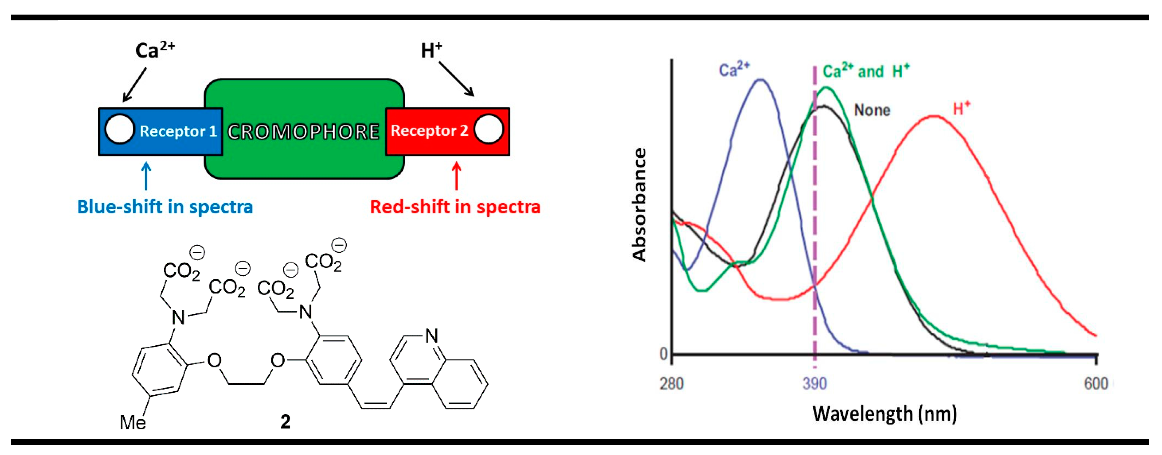 Molecules 28 06327 g004