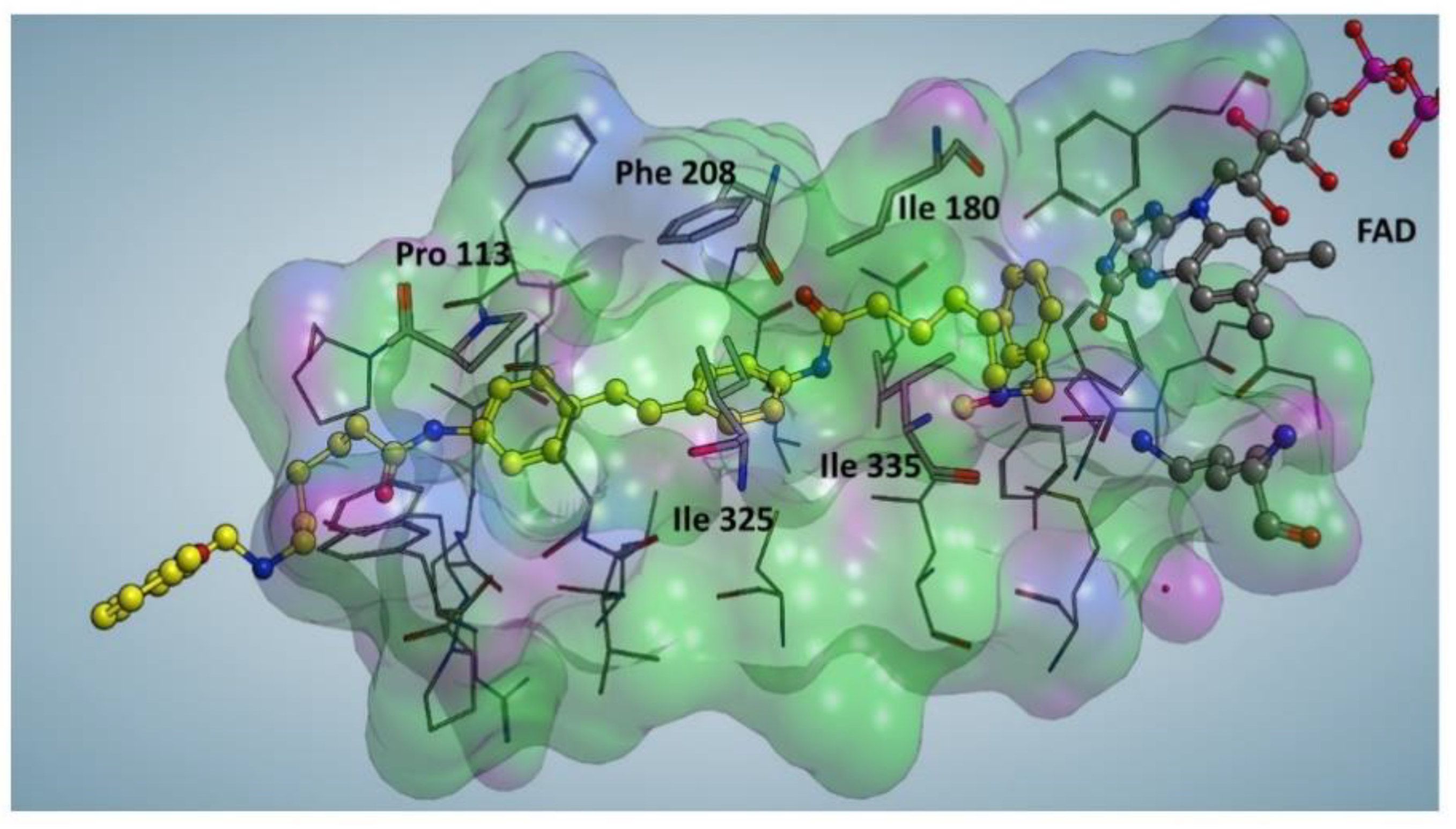 Molecules 28 06329 g004 Molecules 28 06329 g004