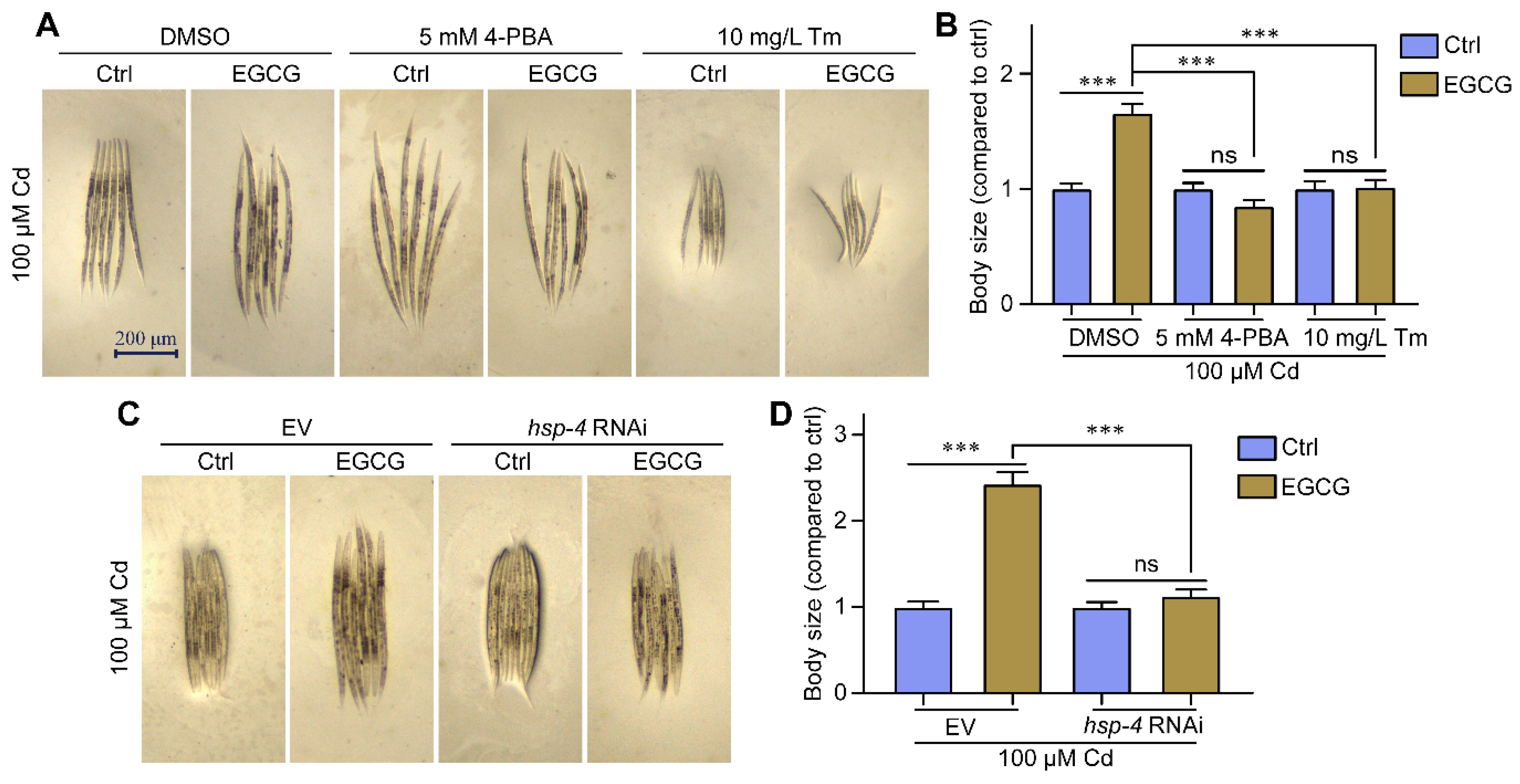 Molecules 28 06344 g004