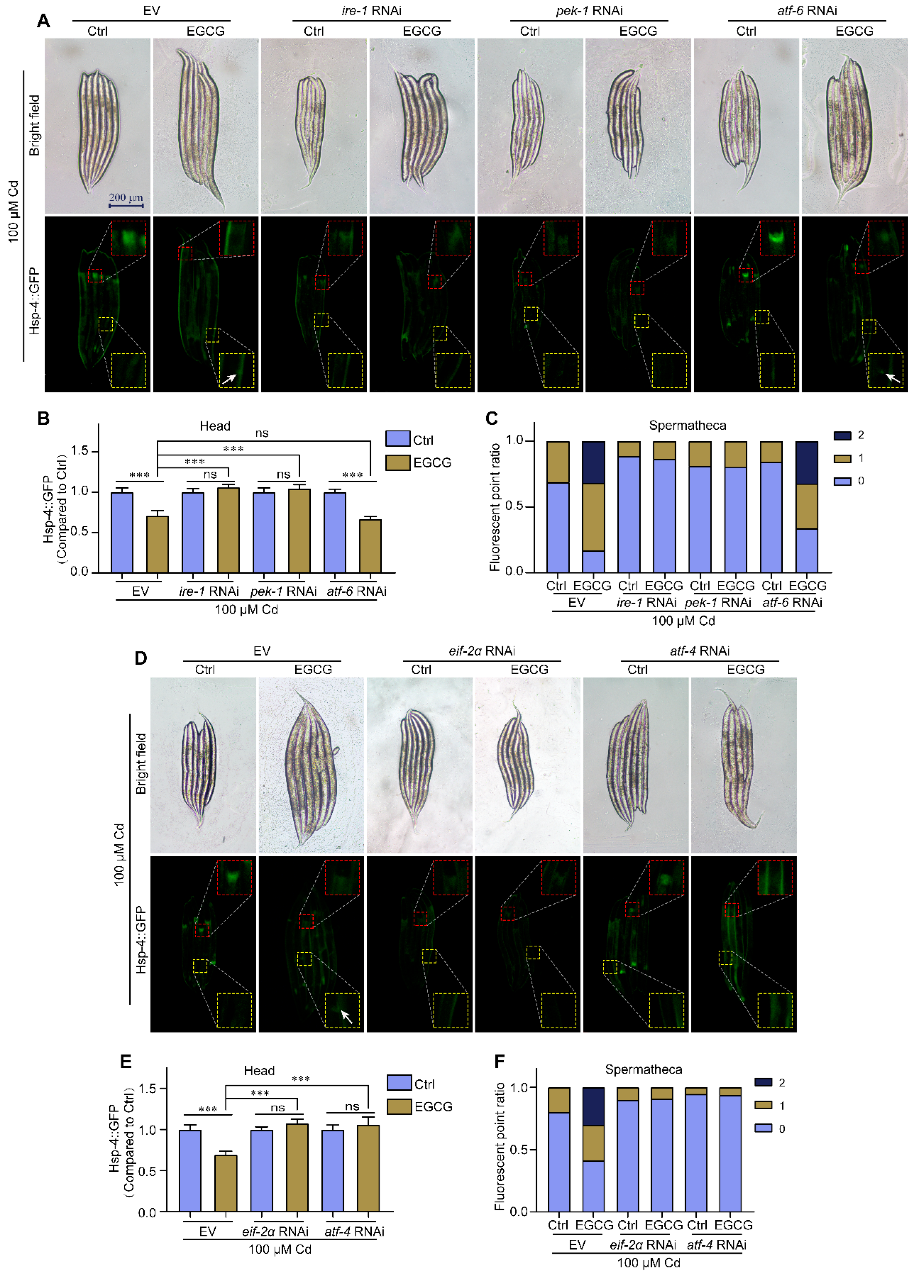 Molecules 28 06344 g005