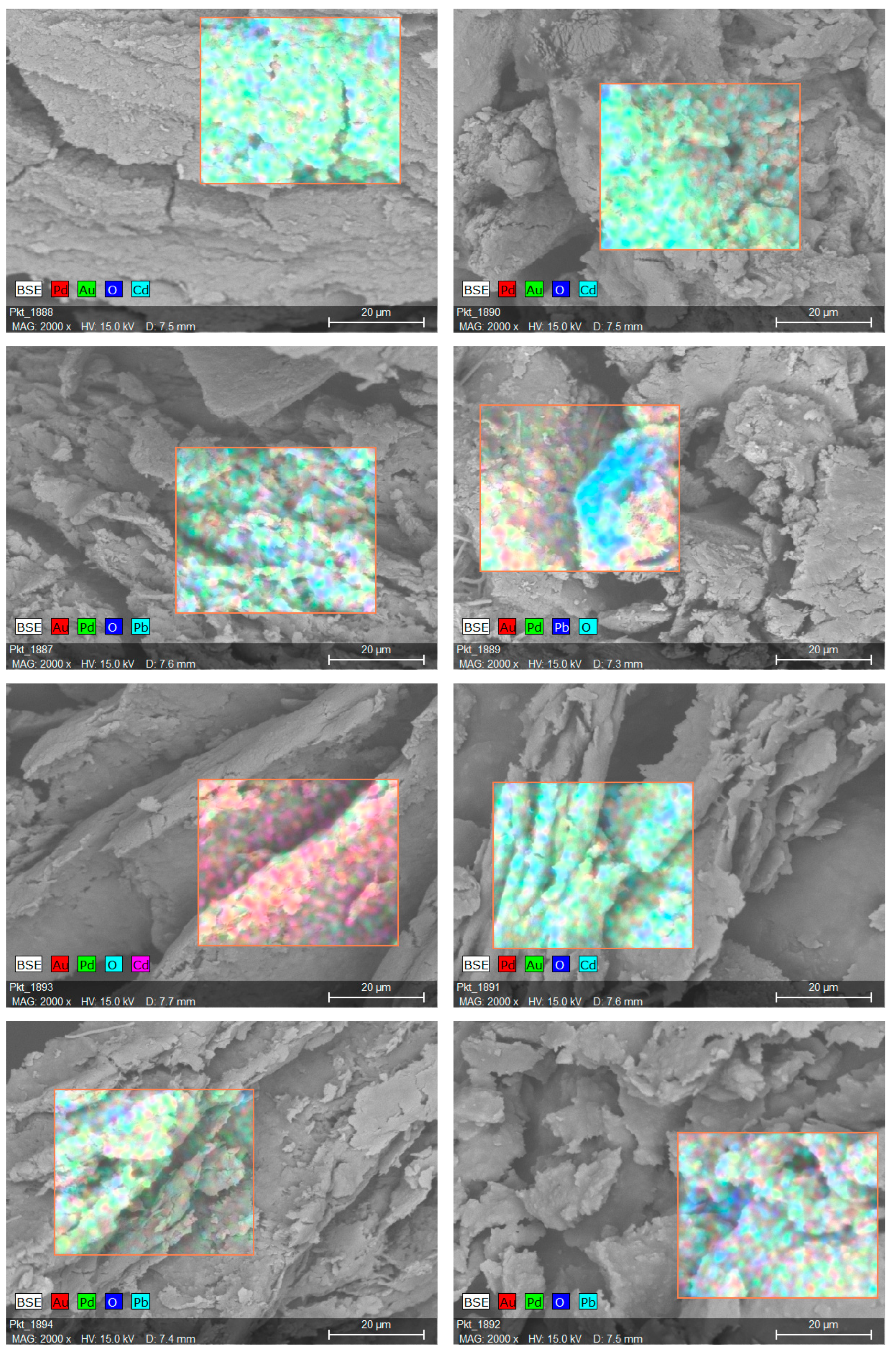 Molecules 28 06345 g002