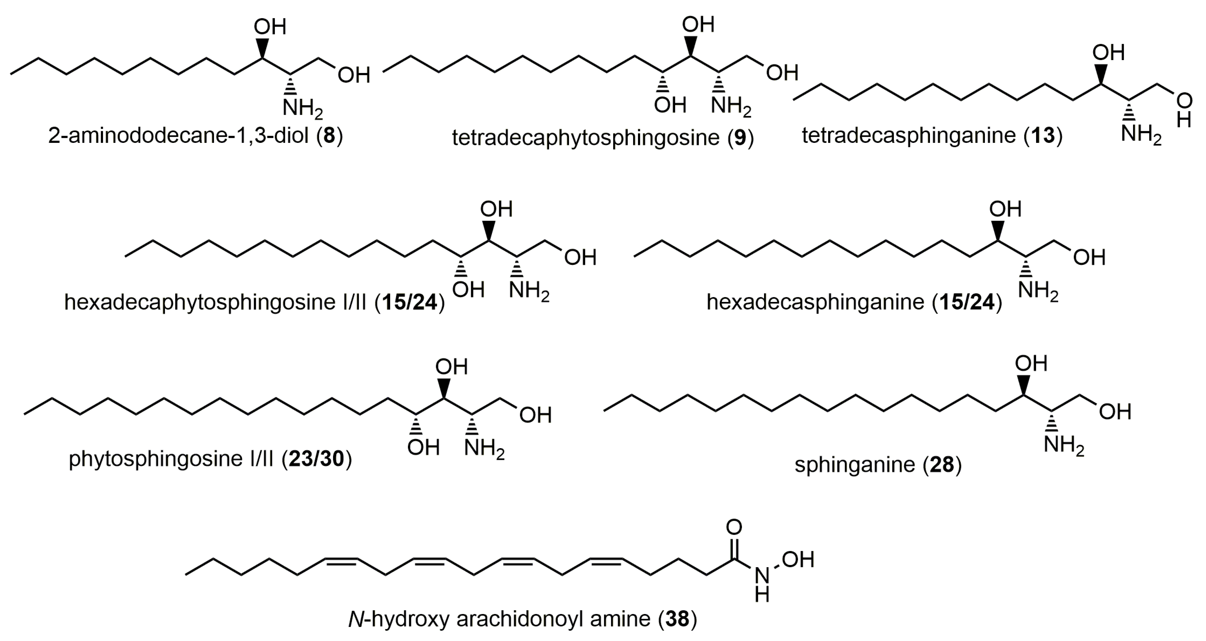 Molecules 28 06346 g004 Molecules 28 06346 g004