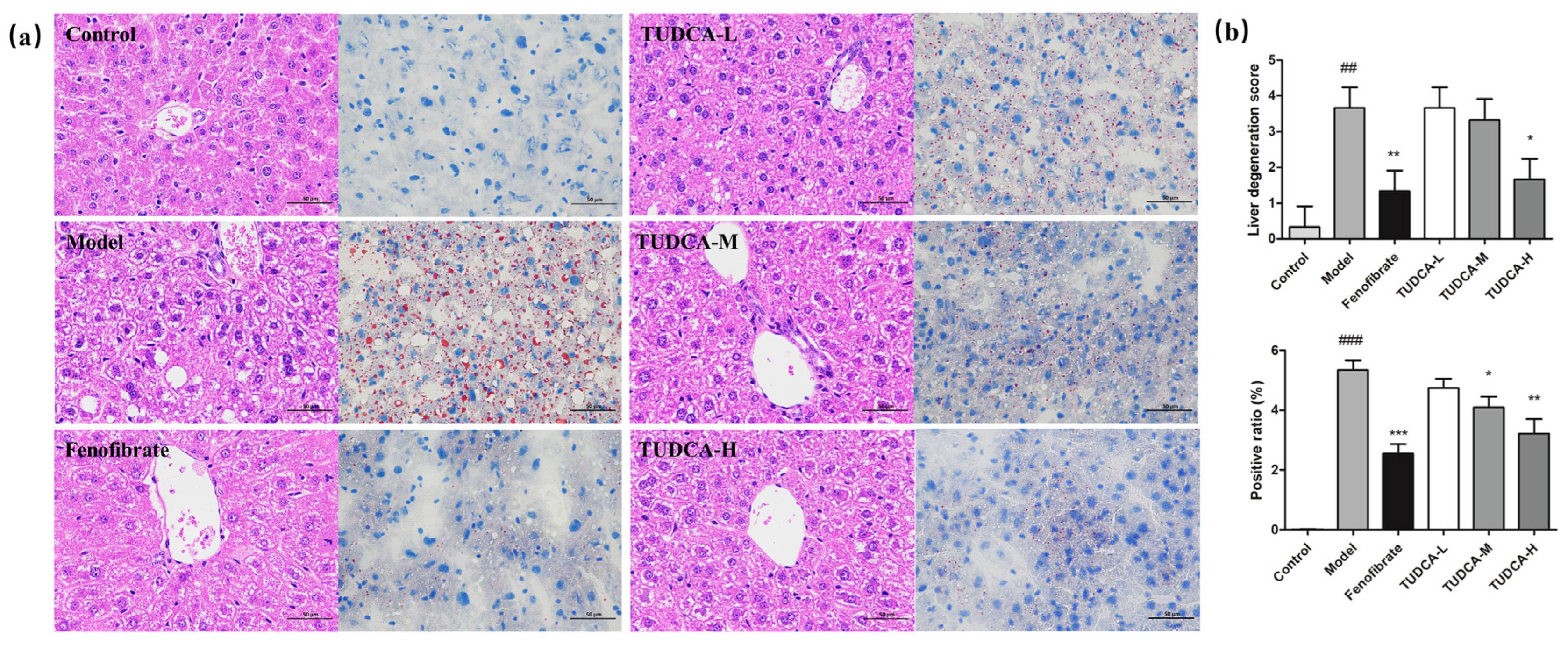Molecules 28 06352 g002