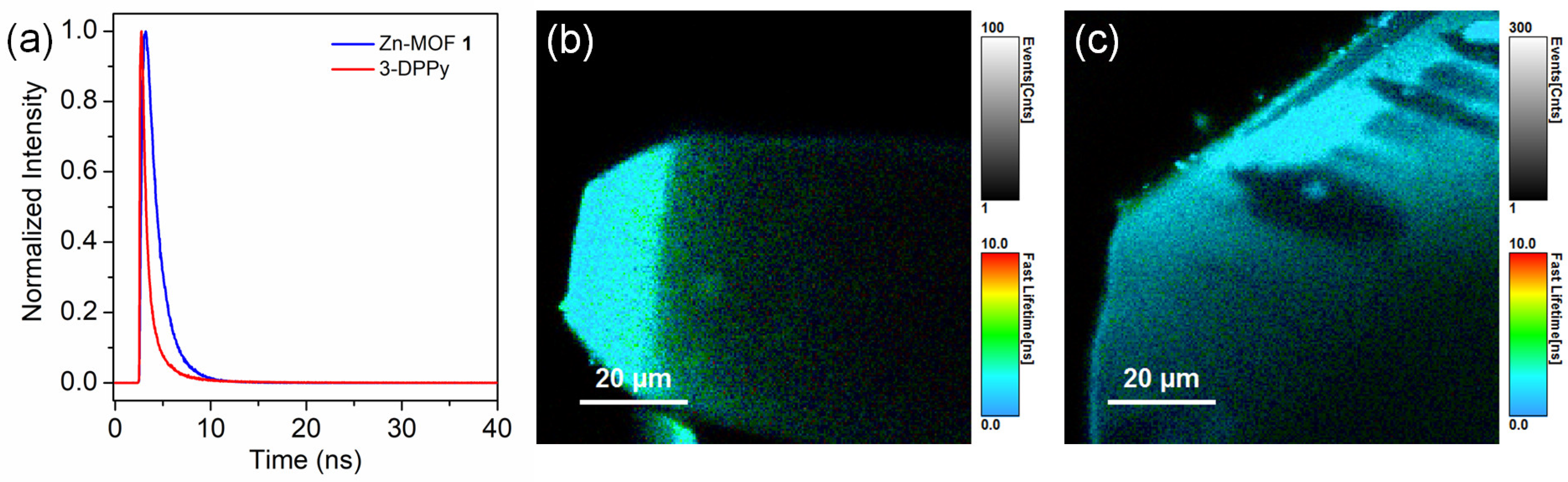 Molecules 28 06357 g006 Molecules 28 06357 g006