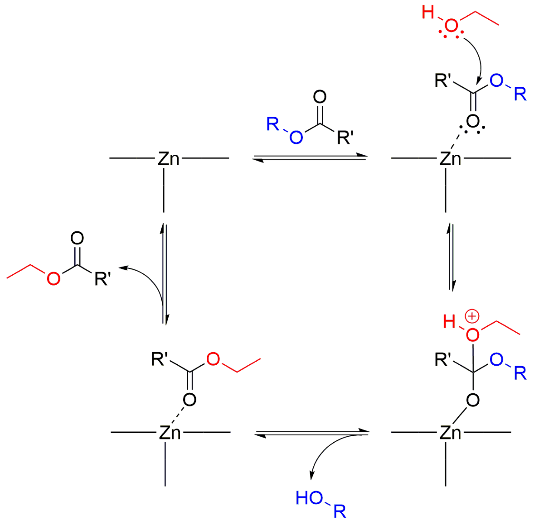 Molecules 28 06357 g008 Molecules 28 06357 g008
