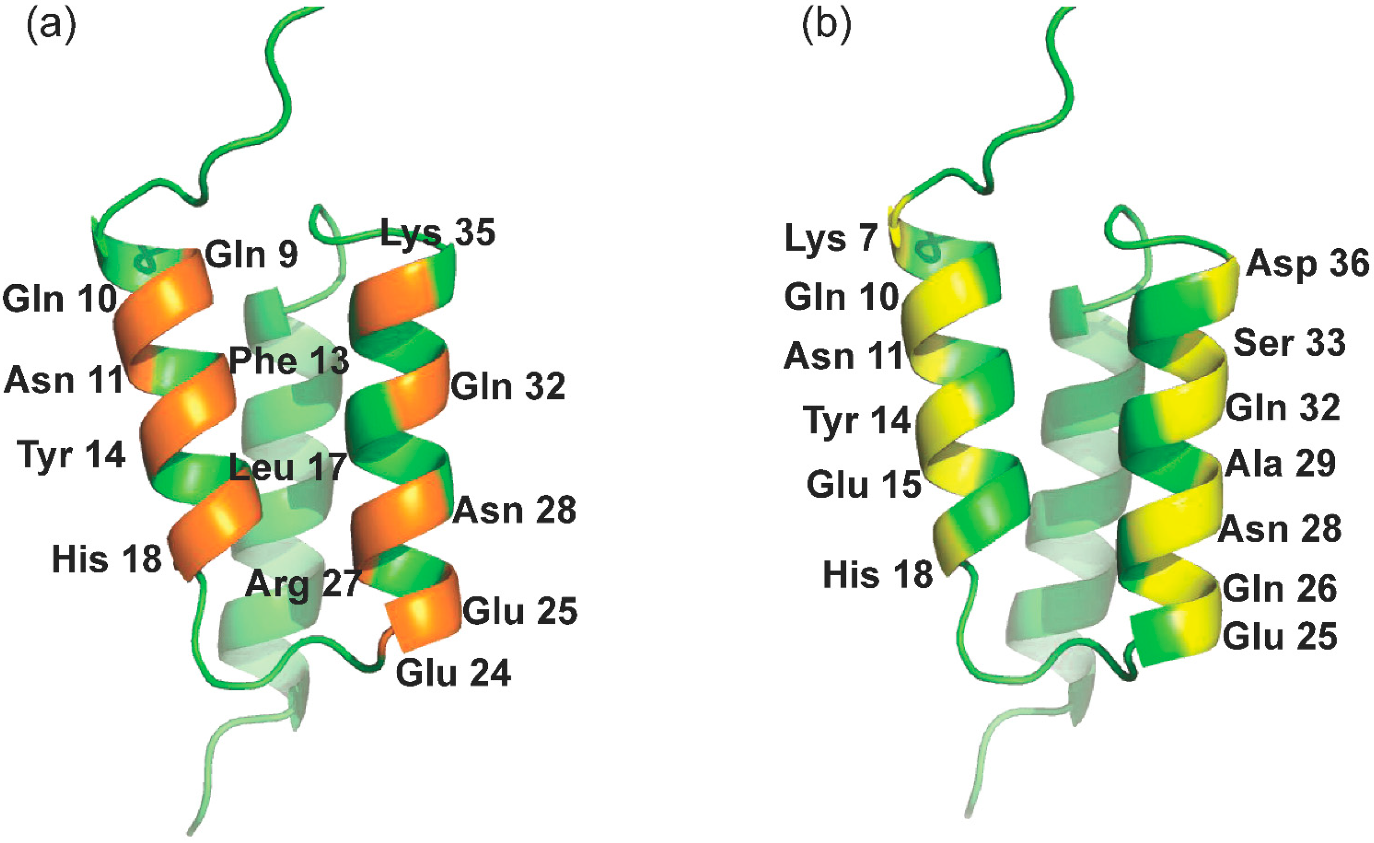Molecules 28 06358 g001