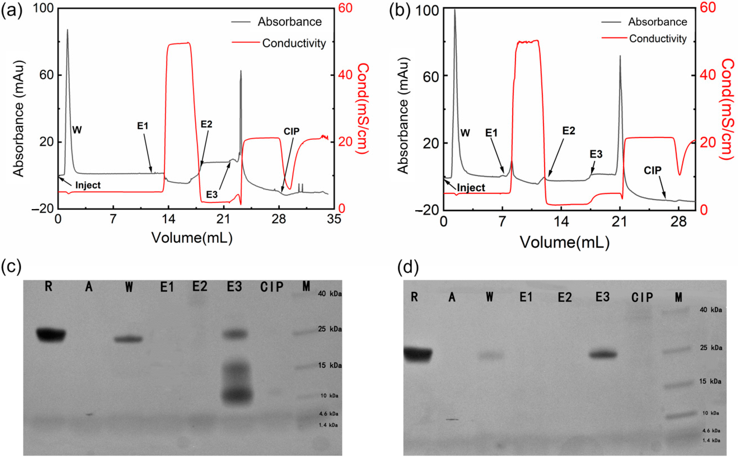 Molecules 28 06358 g007